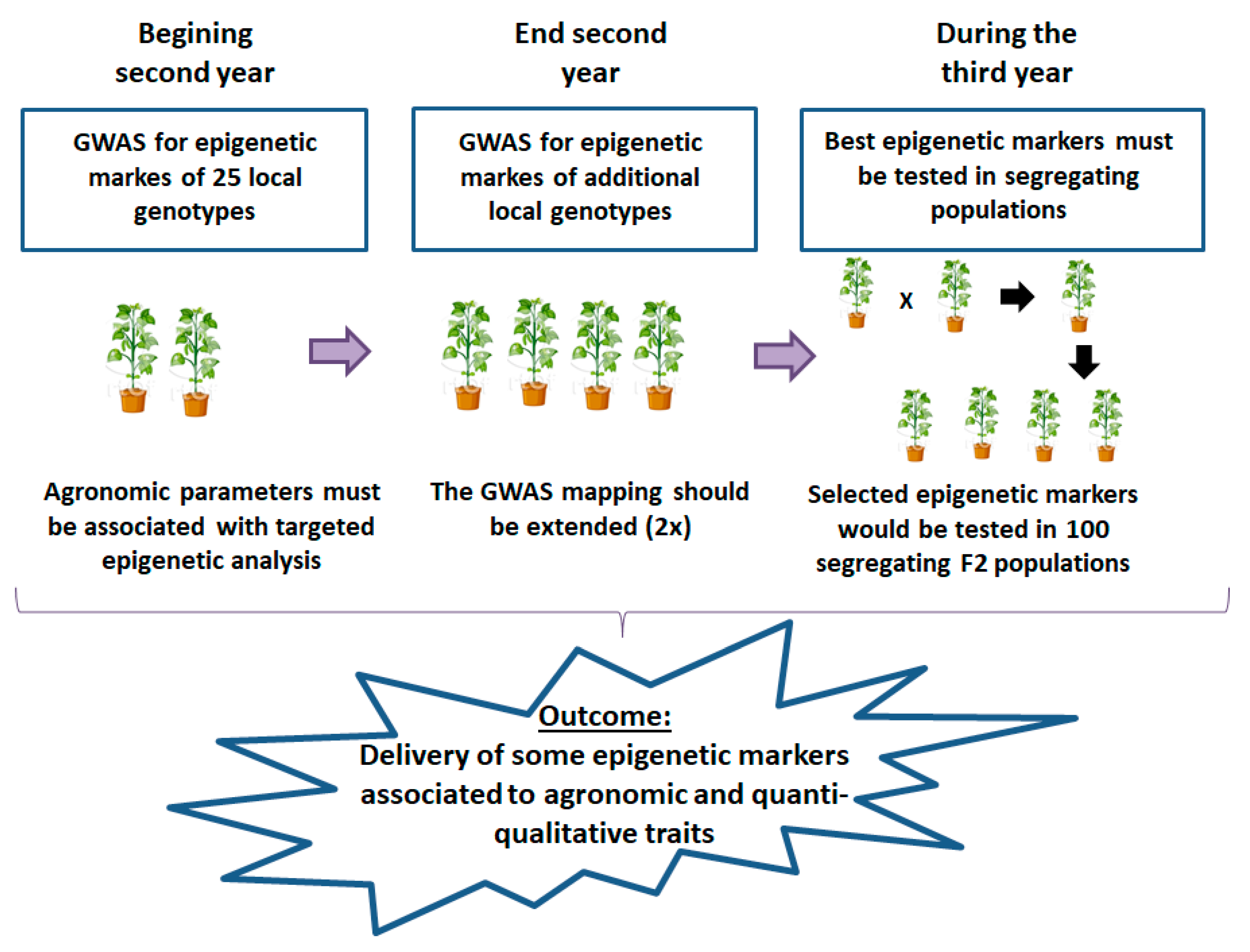 Sustainability 12 01315 g008 Sustainability 12 01315 g008