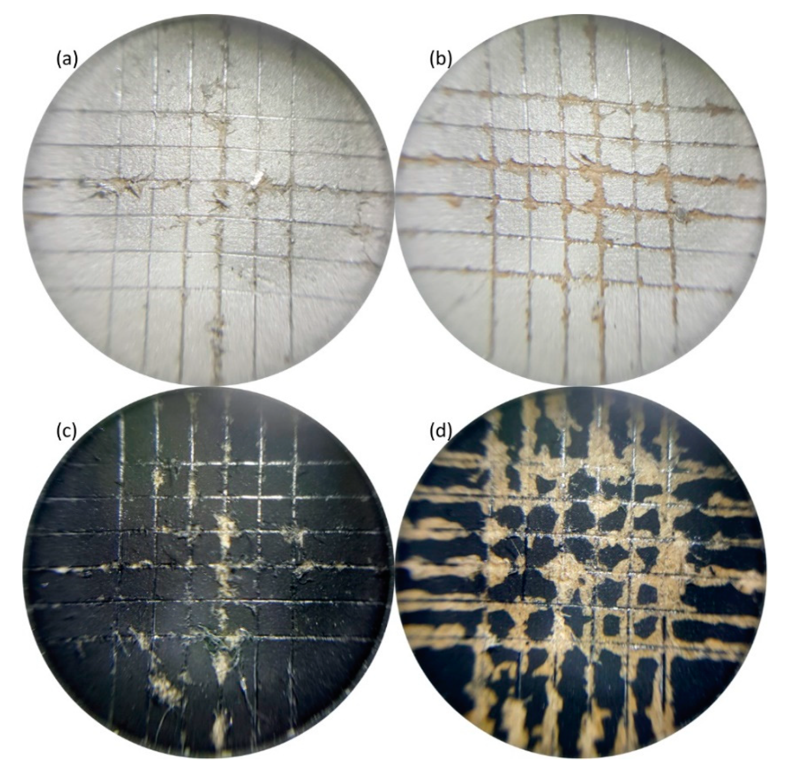 Sustainability 12 01350 g002