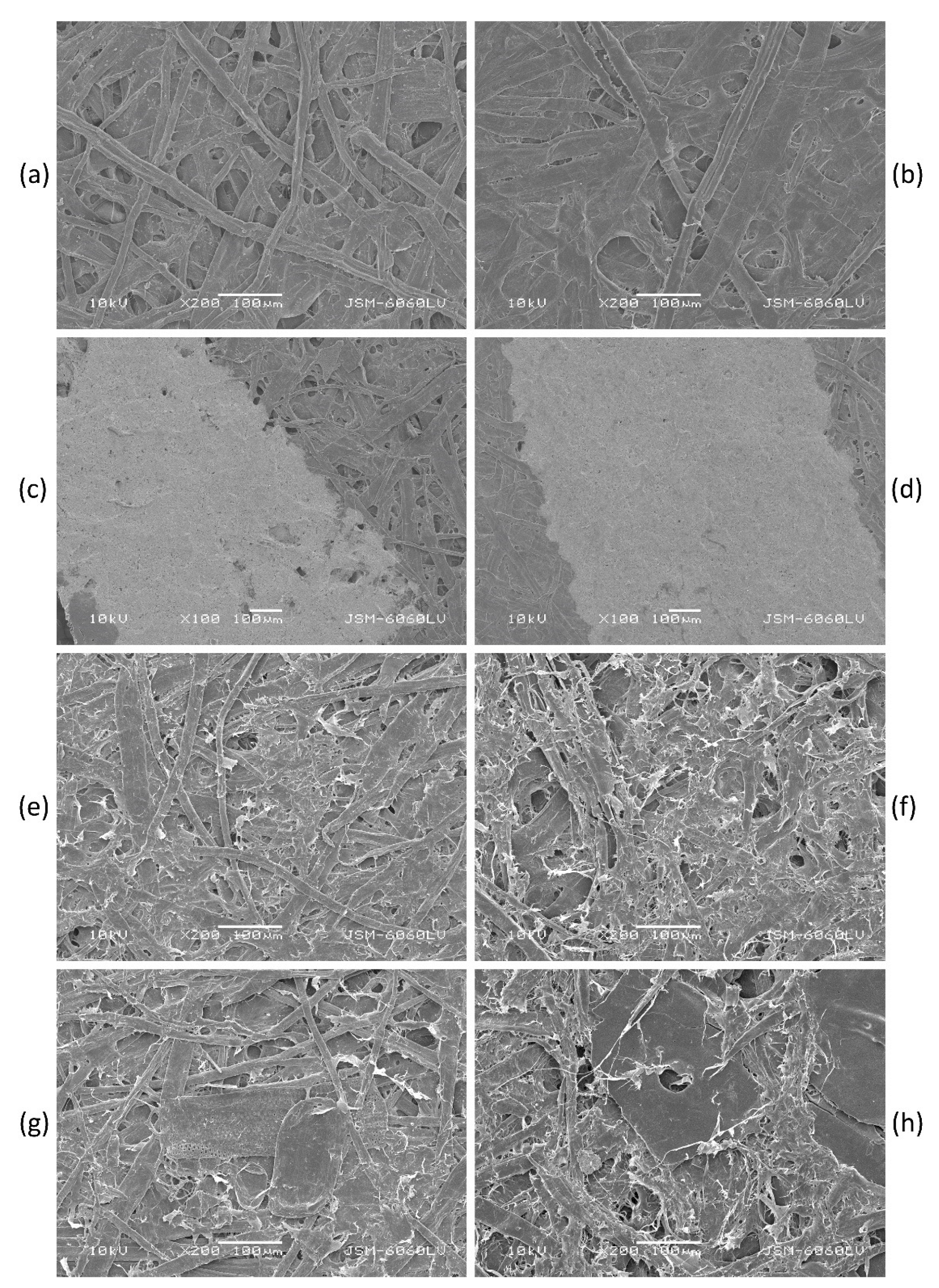 Sustainability 12 01350 g005