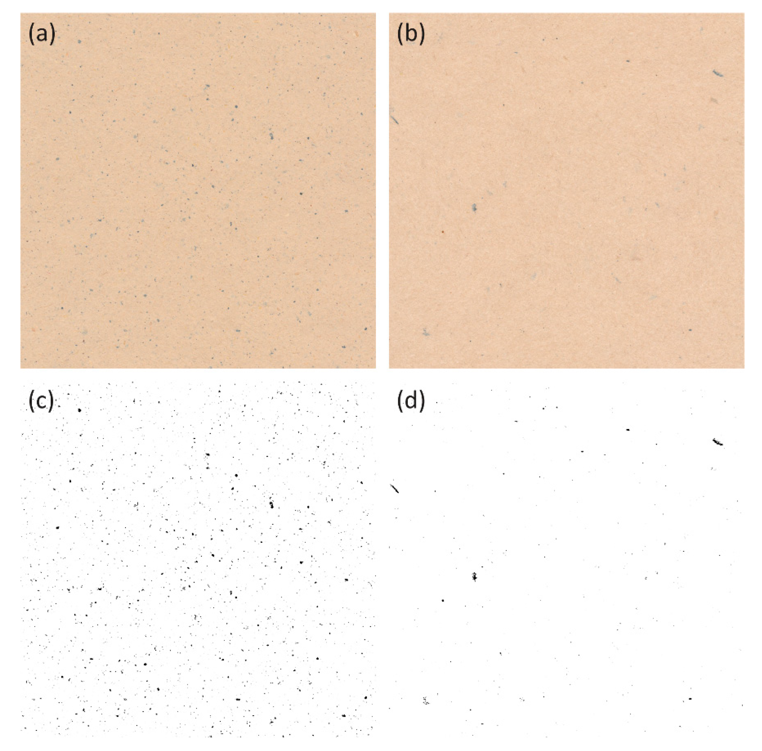 Sustainability 12 01350 g006