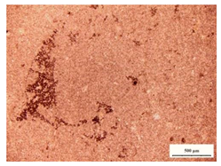 Sustainability 12 01379 i002