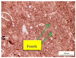 Sustainability 12 01379 i004