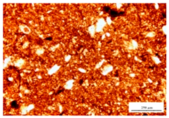 Sustainability 12 01379 i008