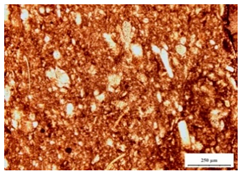 Sustainability 12 01379 i010