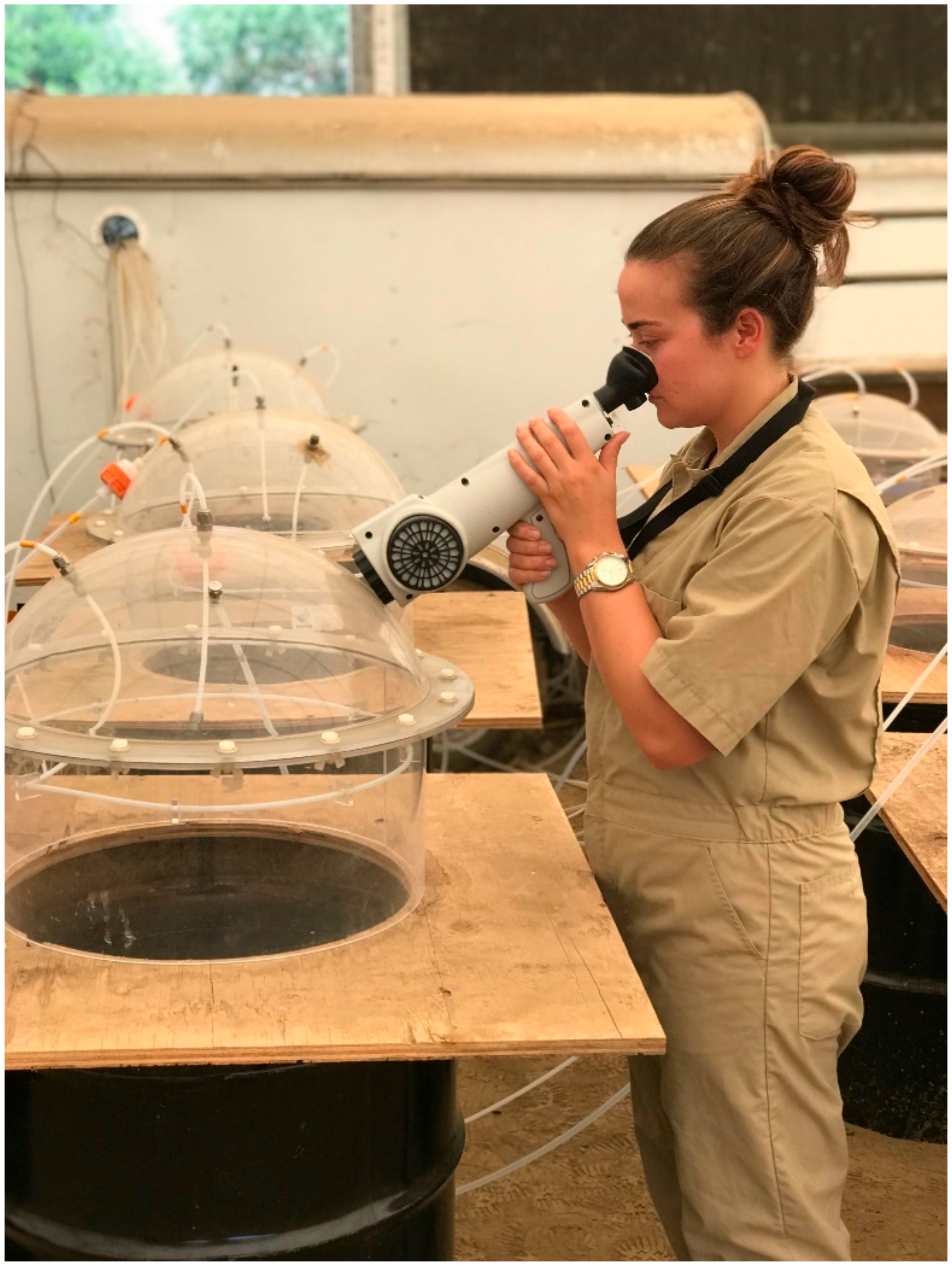 Sustainability 12 01393 g003 Sustainability 12 01393 g003