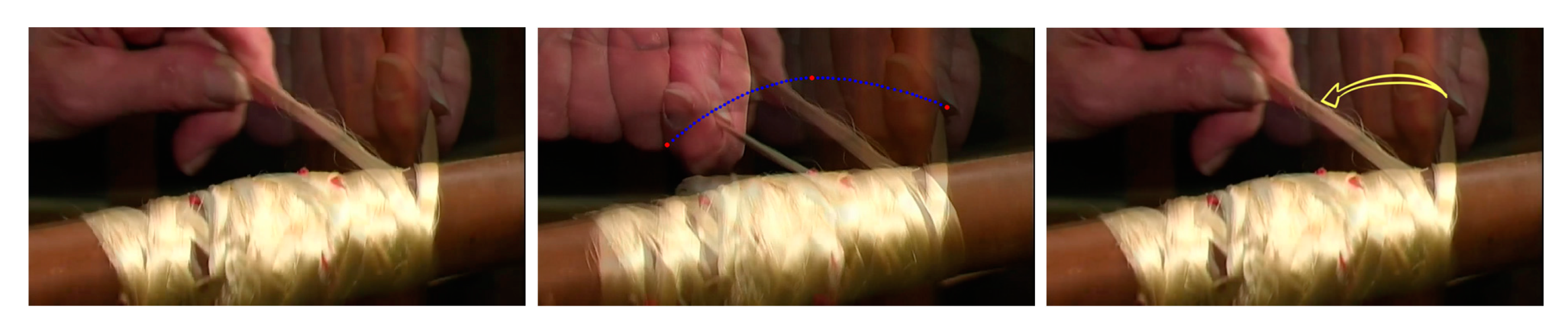 Sustainability 12 01461 g018 Sustainability 12 01461 g018