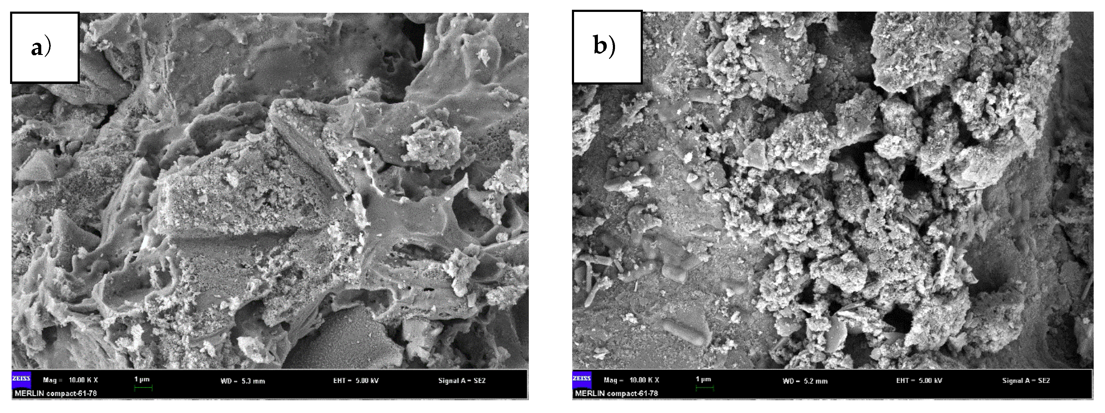 Sustainability 12 01462 g005 Sustainability 12 01462 g005