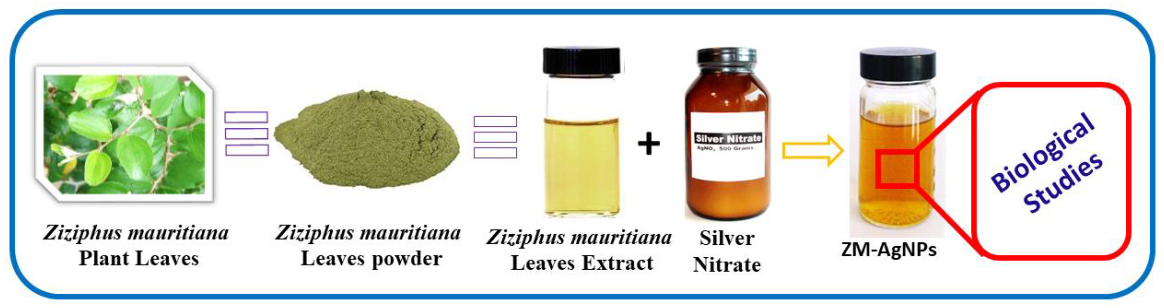 Sustainability 12 01484 g001 Sustainability 12 01484 g001
