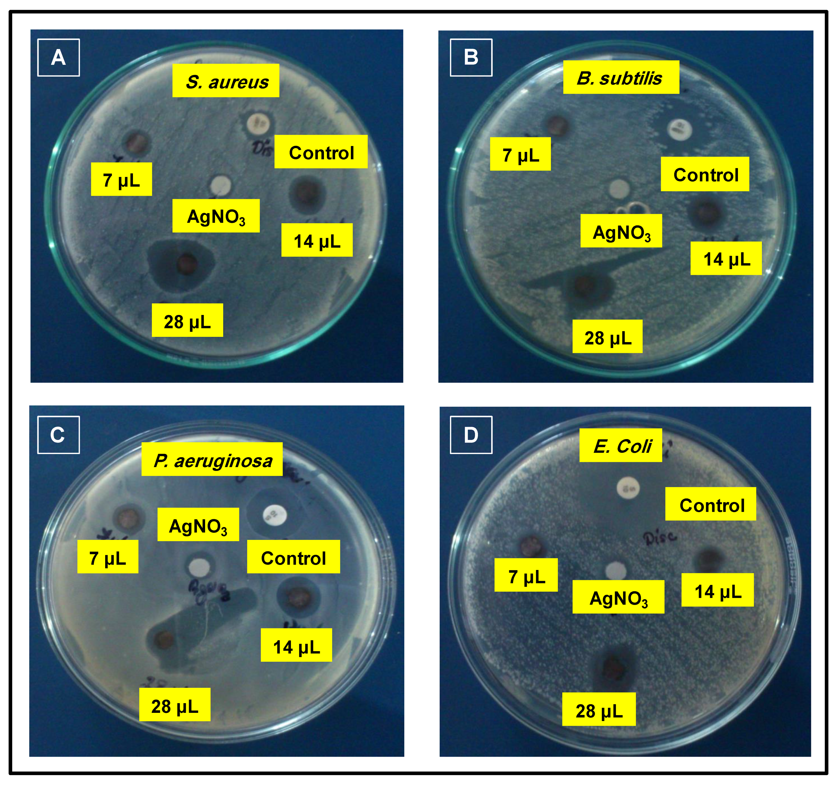 Sustainability 12 01484 g008 Sustainability 12 01484 g008