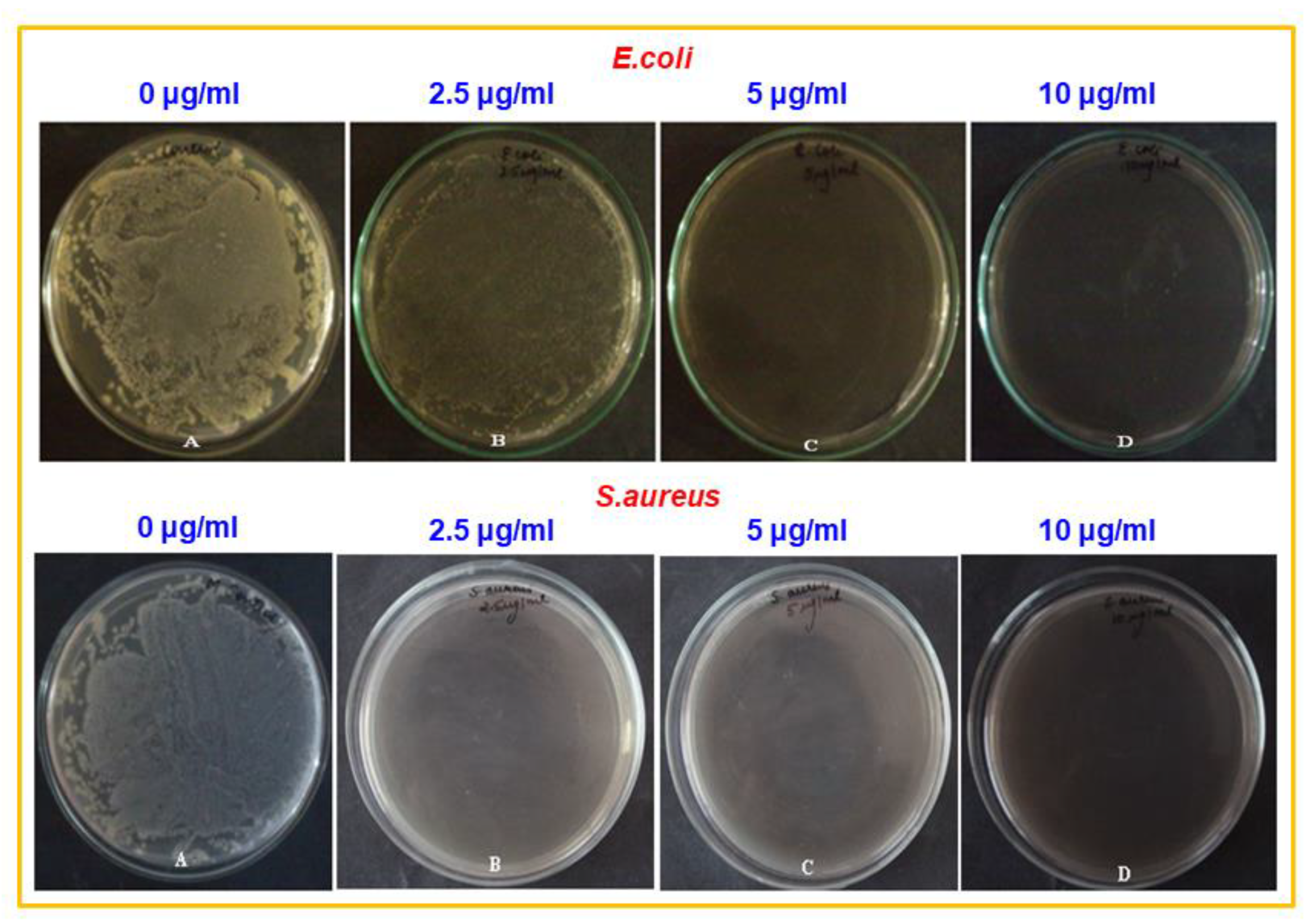 Sustainability 12 01484 g009 Sustainability 12 01484 g009