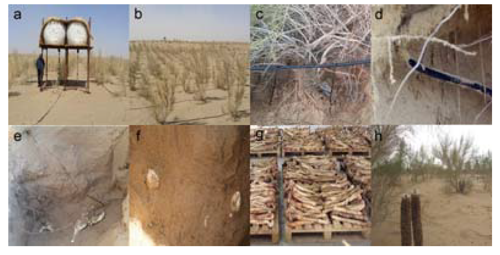 Sustainability 12 01547 g010 Sustainability 12 01547 g010