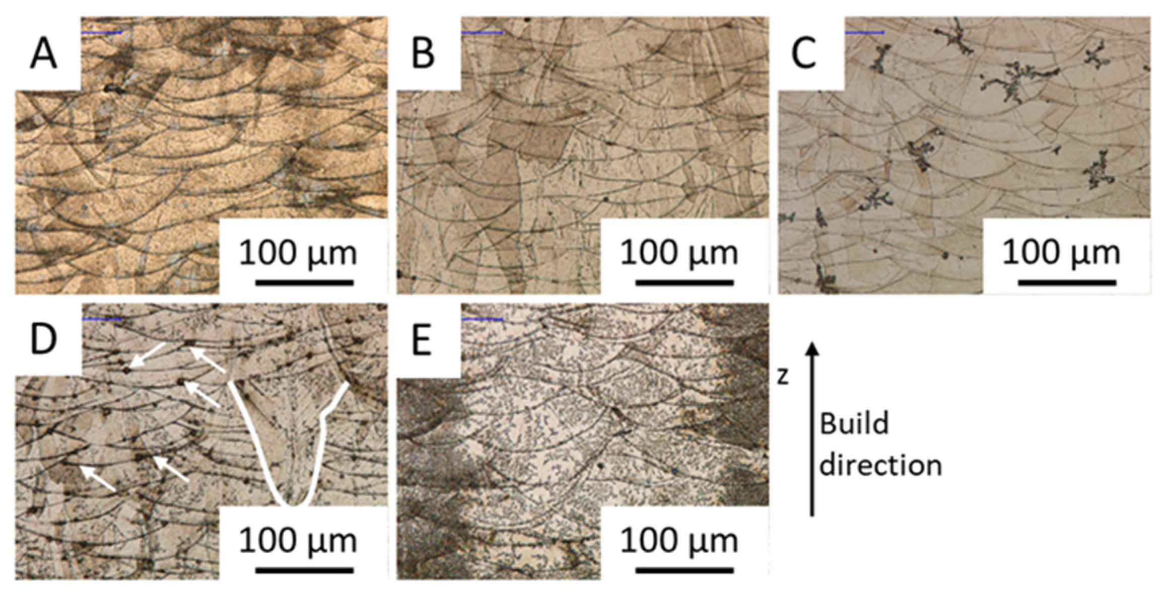 Sustainability 12 01565 g008