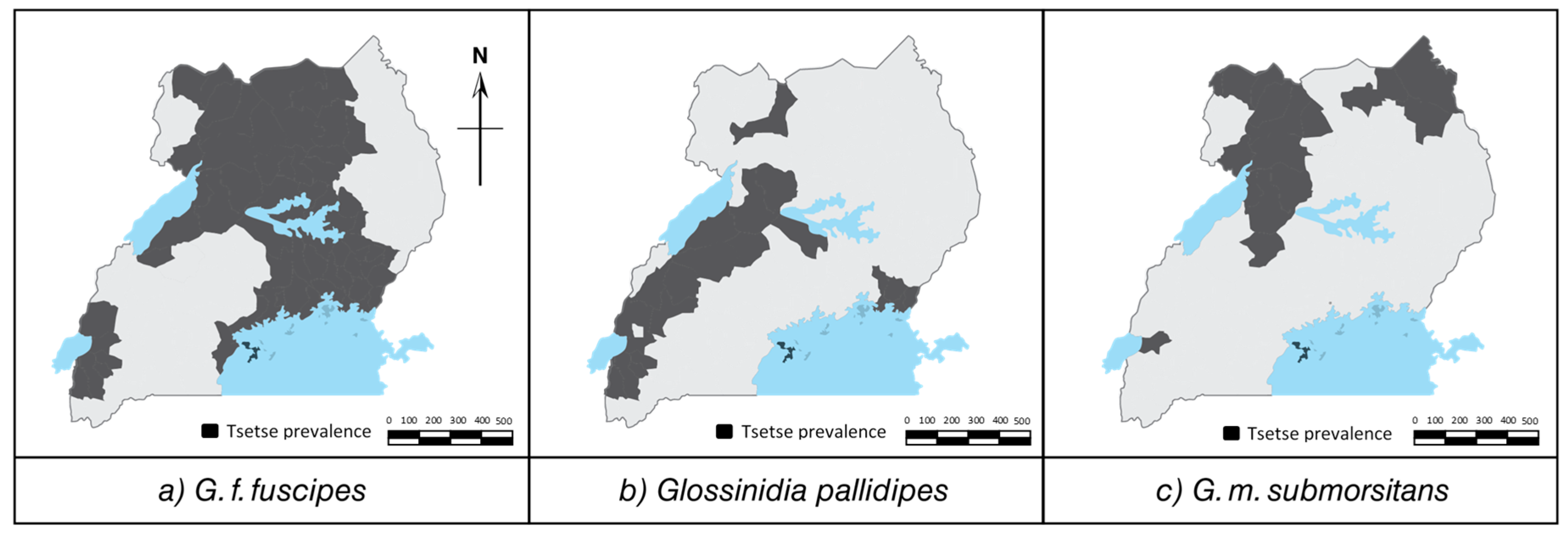 Sustainability Free Full-Text Tsetse Invasion as an Emerging Threat to Socioecological Resilience of Pastoral Communities in Karamoja, Uganda