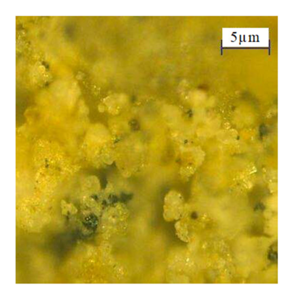 Sustainability 12 01616 g009 Sustainability 12 01616 g009