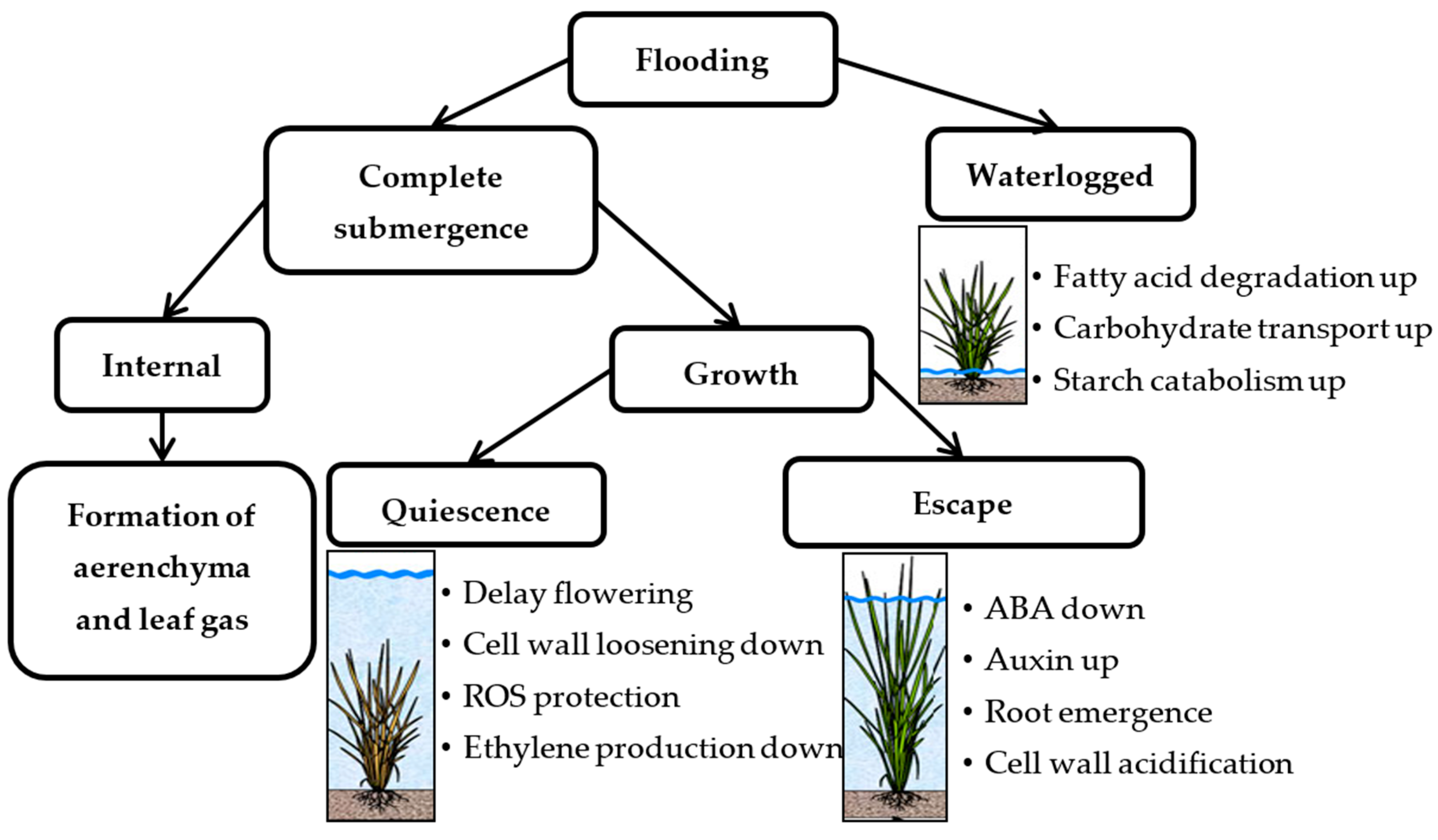 Sustainability 12 01632 g002 Sustainability 12 01632 g002