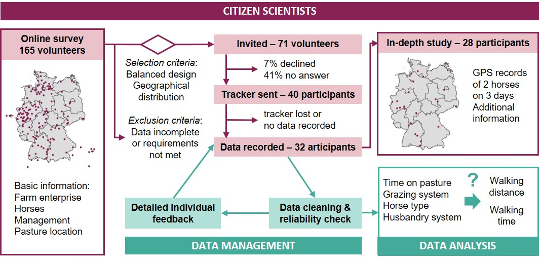 Sustainability Free Full-Text Using a Citizen Science Approach with German Horse Owners to Study the Locomotion Behaviour of Horses on Pasture