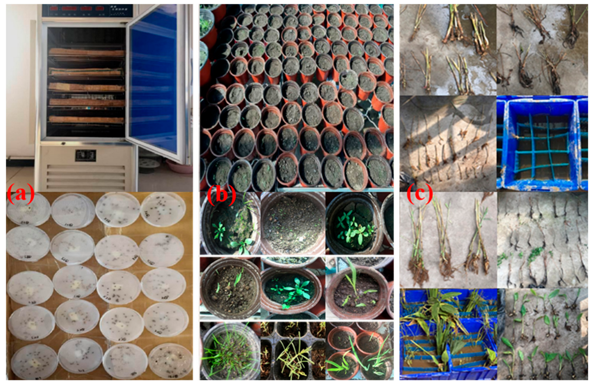 Sustainability 12 01913 g001 Sustainability 12 01913 g001