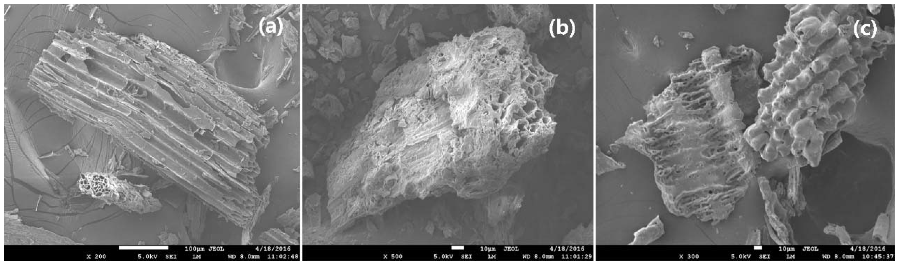 Sustainability 12 01922 g001 Sustainability 12 01922 g001