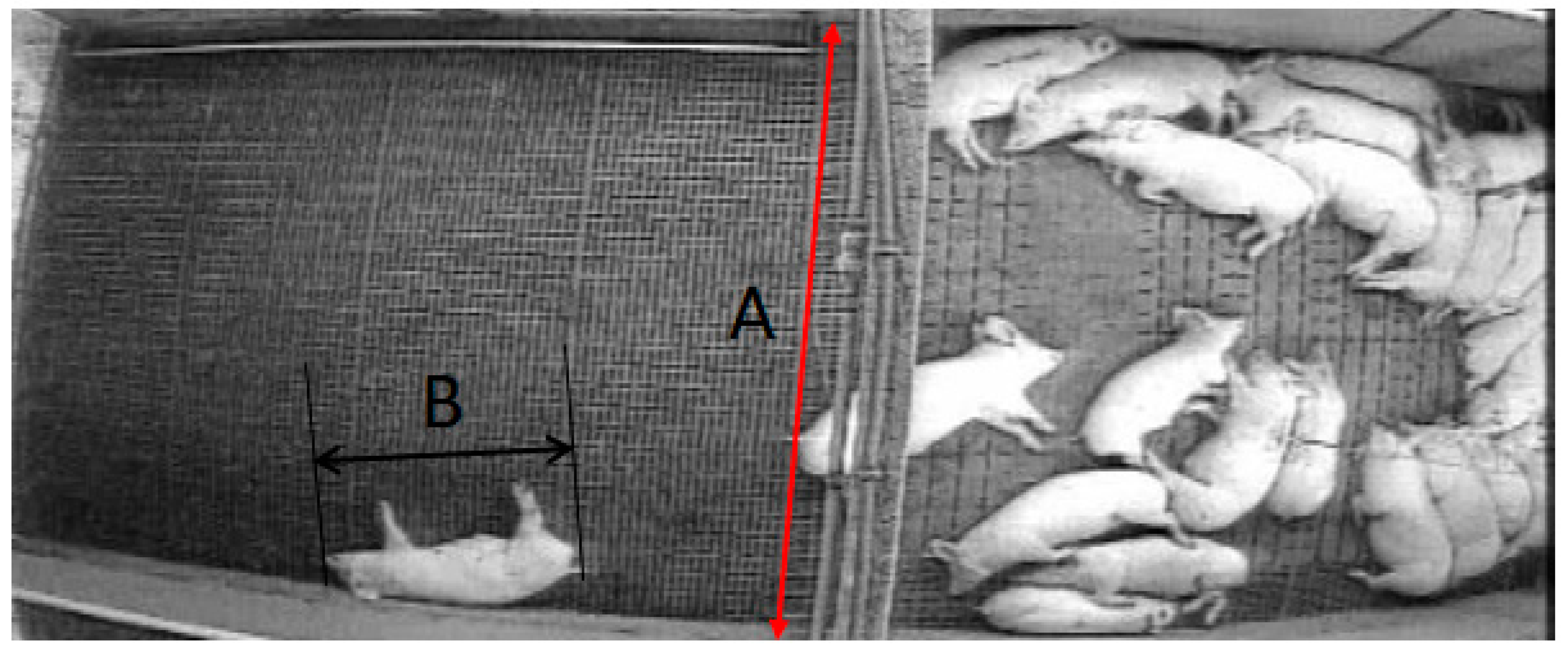 Sustainability 12 01928 g003 Sustainability 12 01928 g003