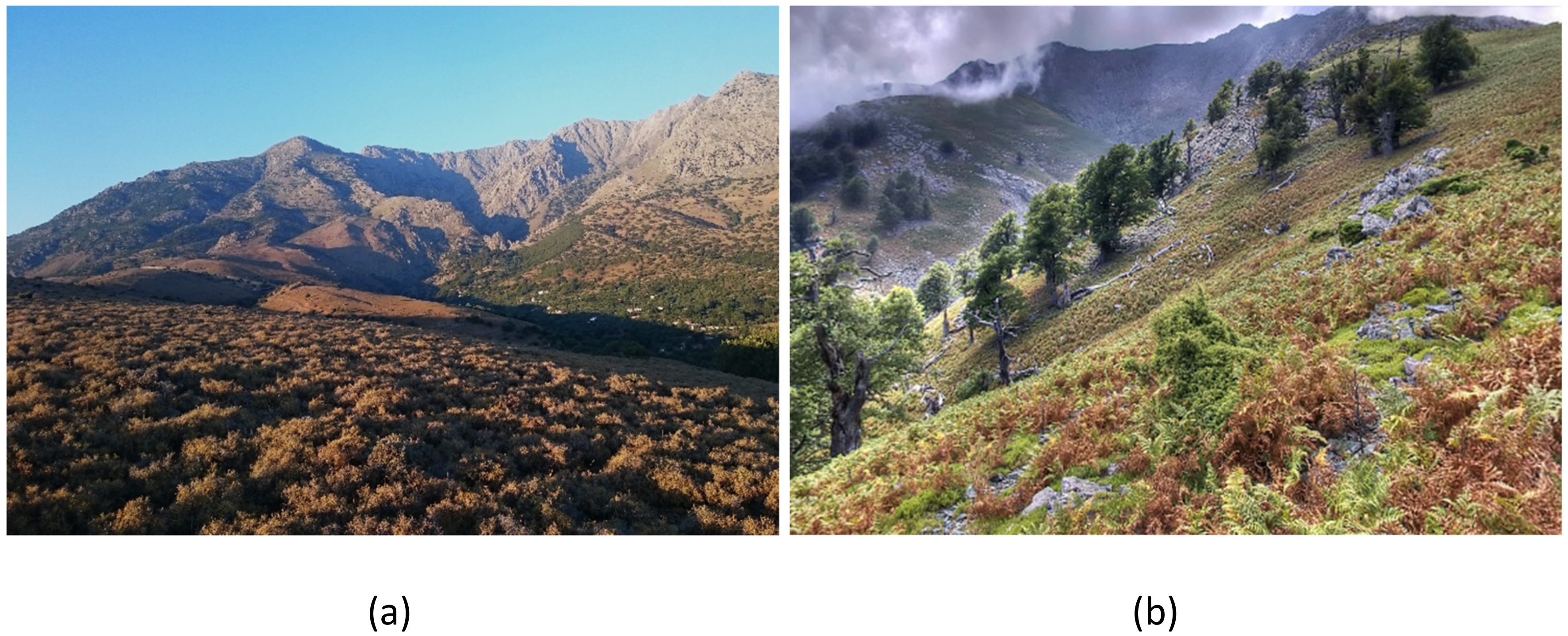 Sustainability 12 01932 g007