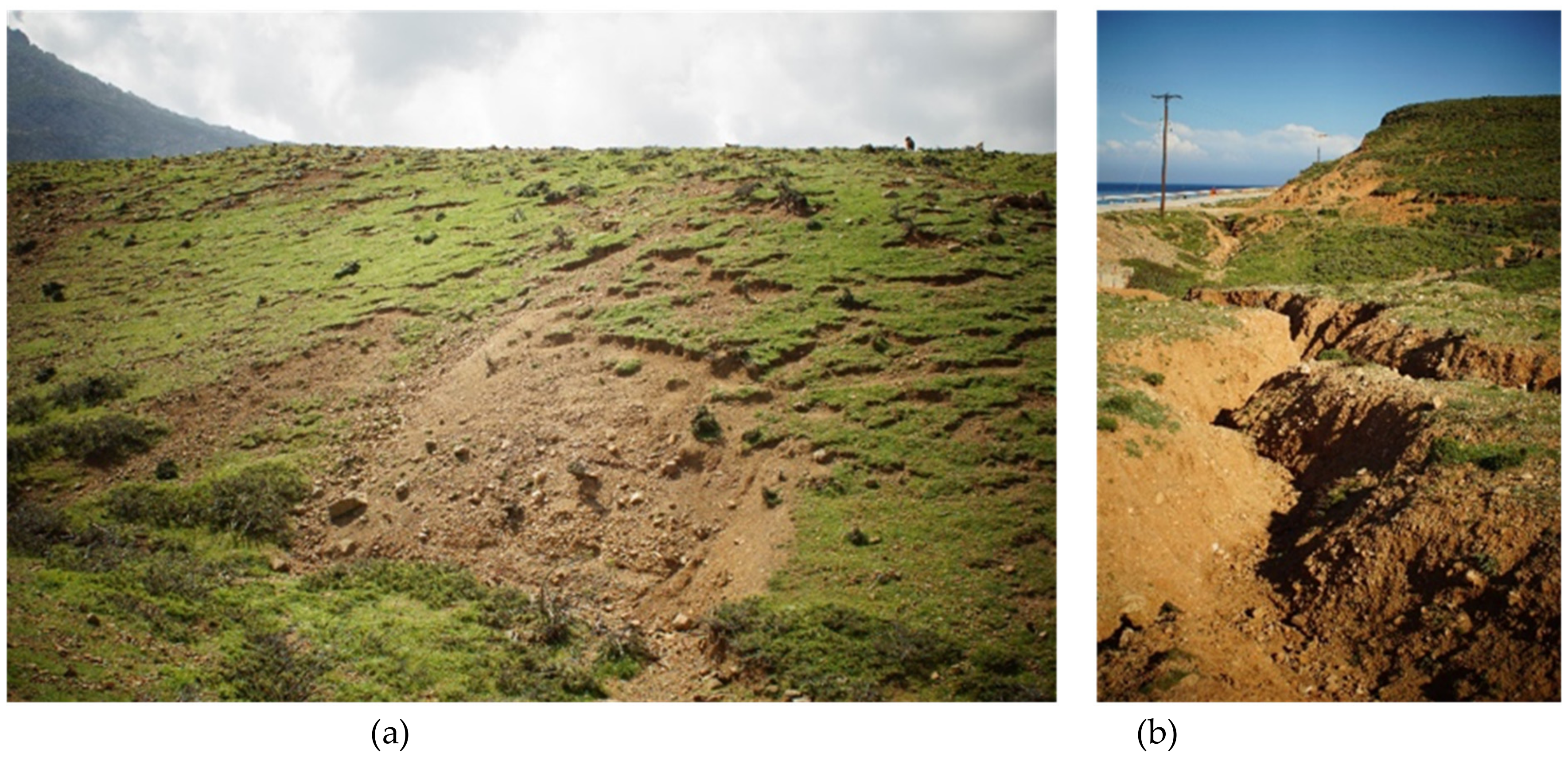 Sustainability 12 01932 g011