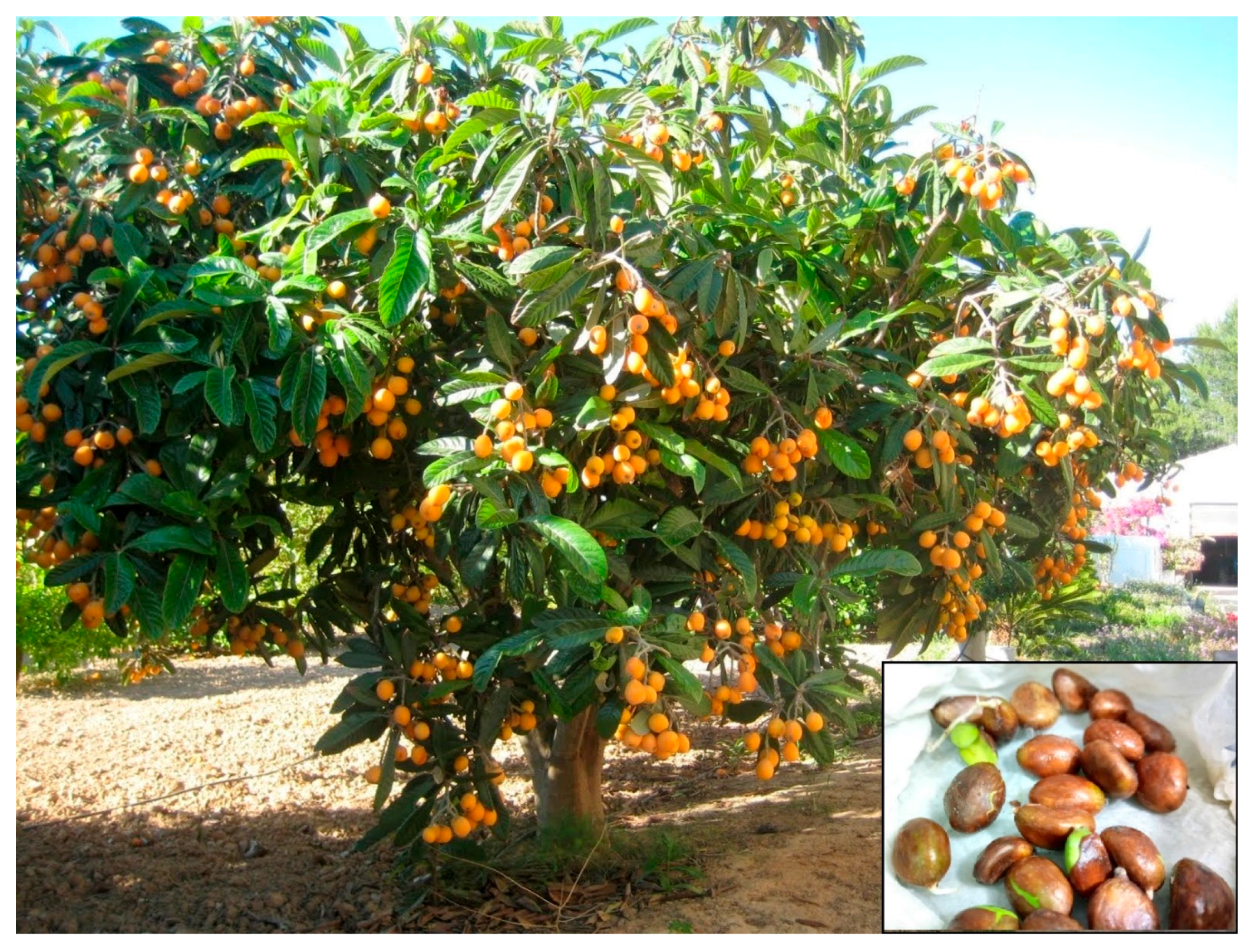 Sustainability 12 02093 g006