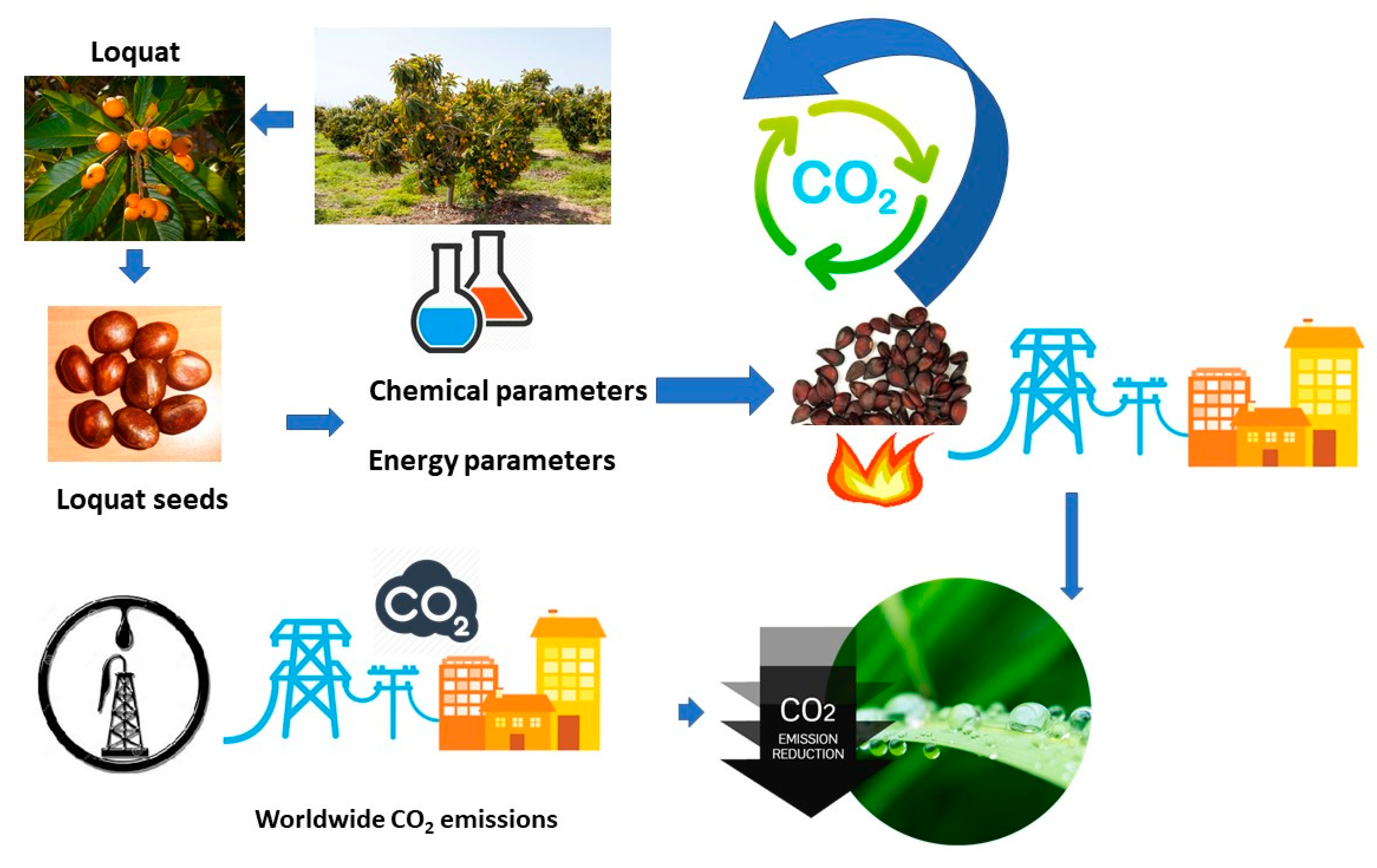 Sustainability 12 02093 g010