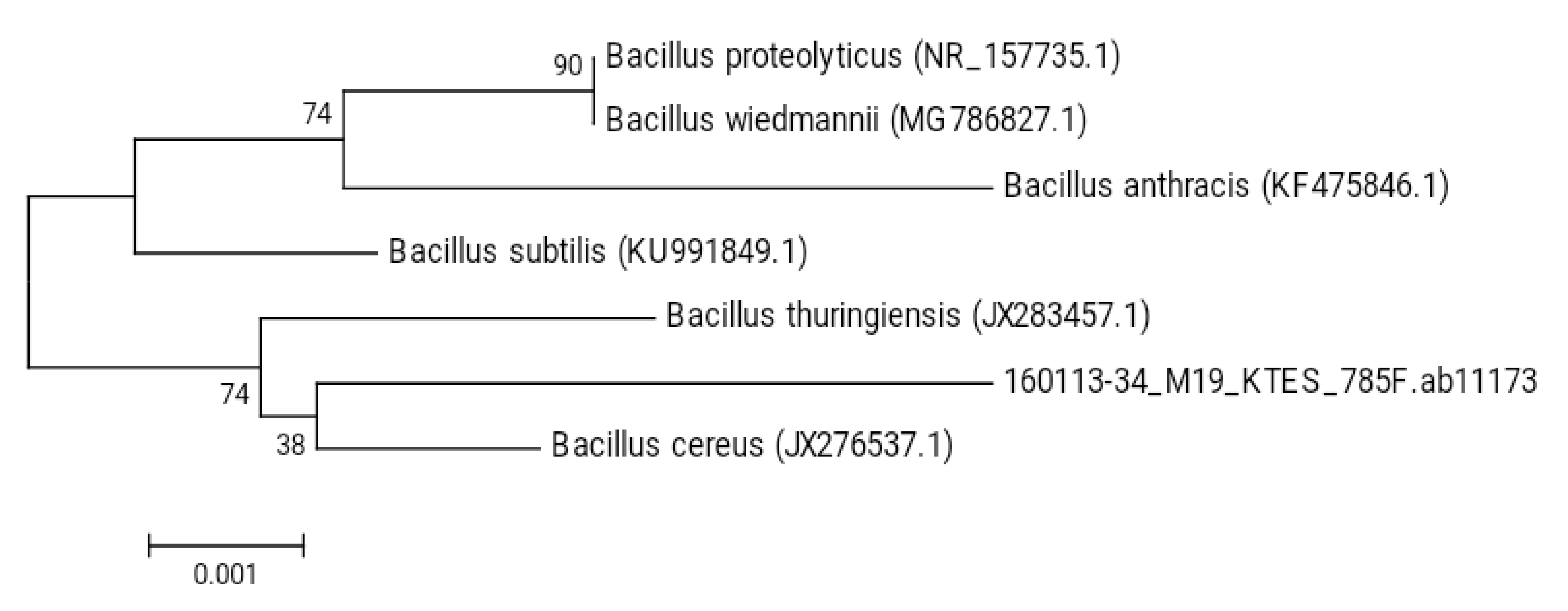 Sustainability 12 02159 g002 Sustainability 12 02159 g002