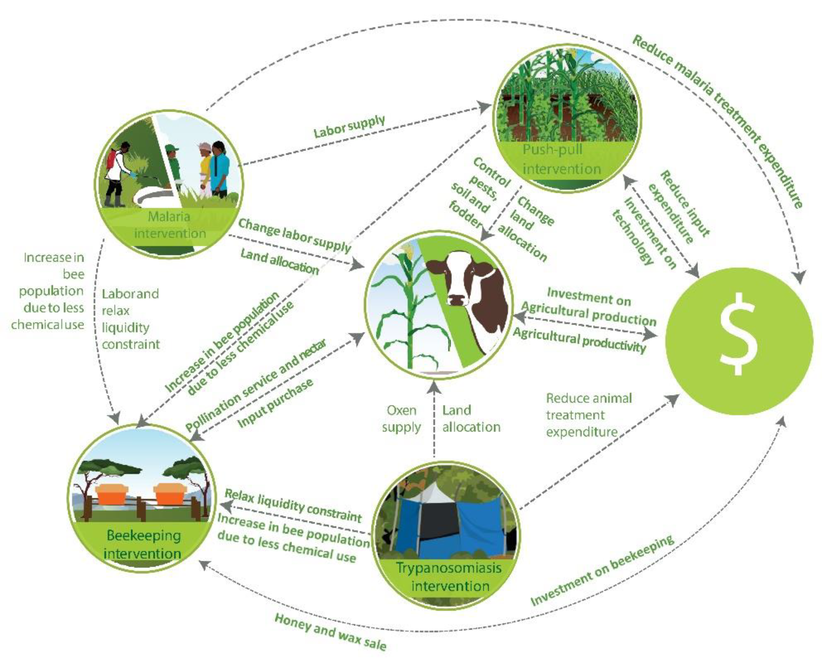 Sustainability 12 02284 g004 Sustainability 12 02284 g004