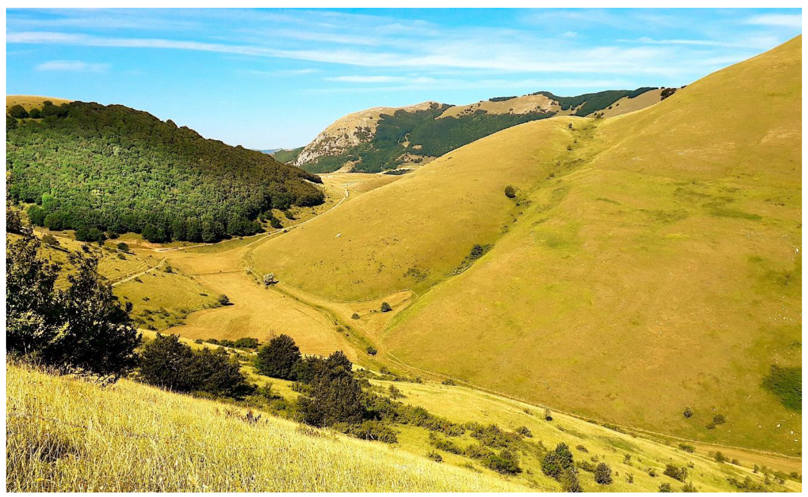 Sustainability 12 02301 g005