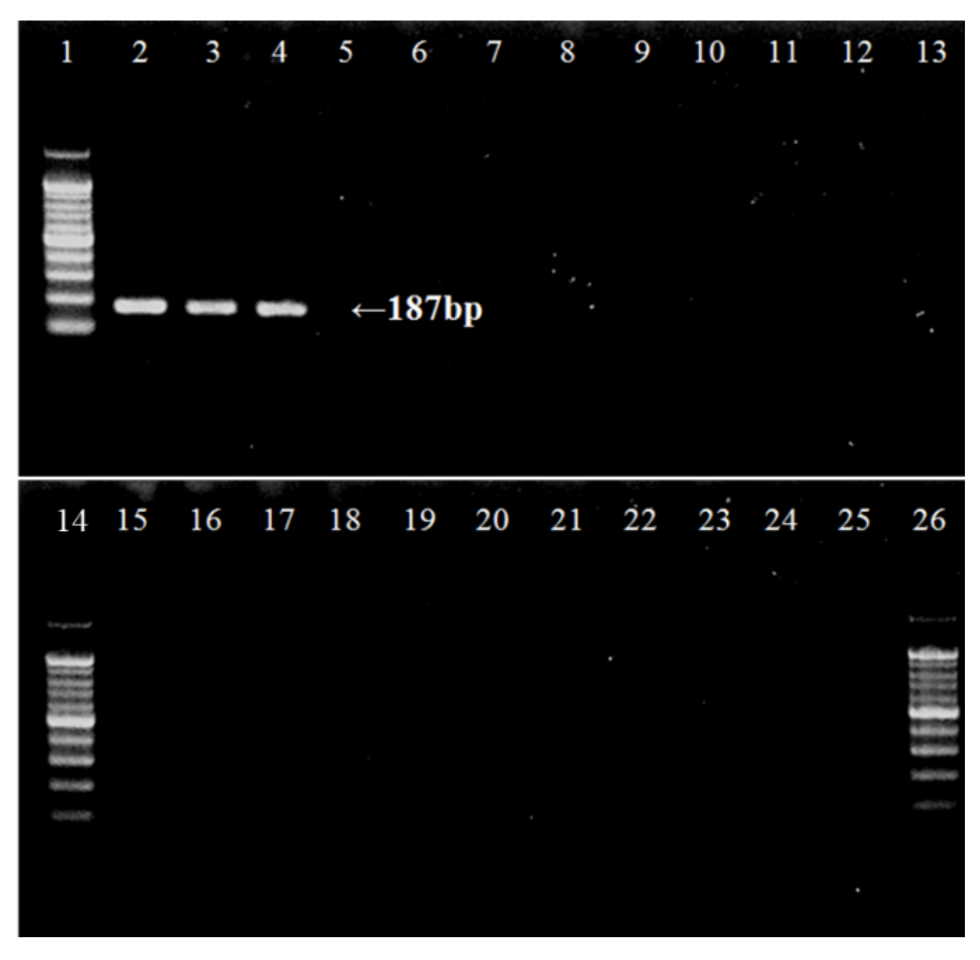 Sustainability 12 02360 g003 Sustainability 12 02360 g003