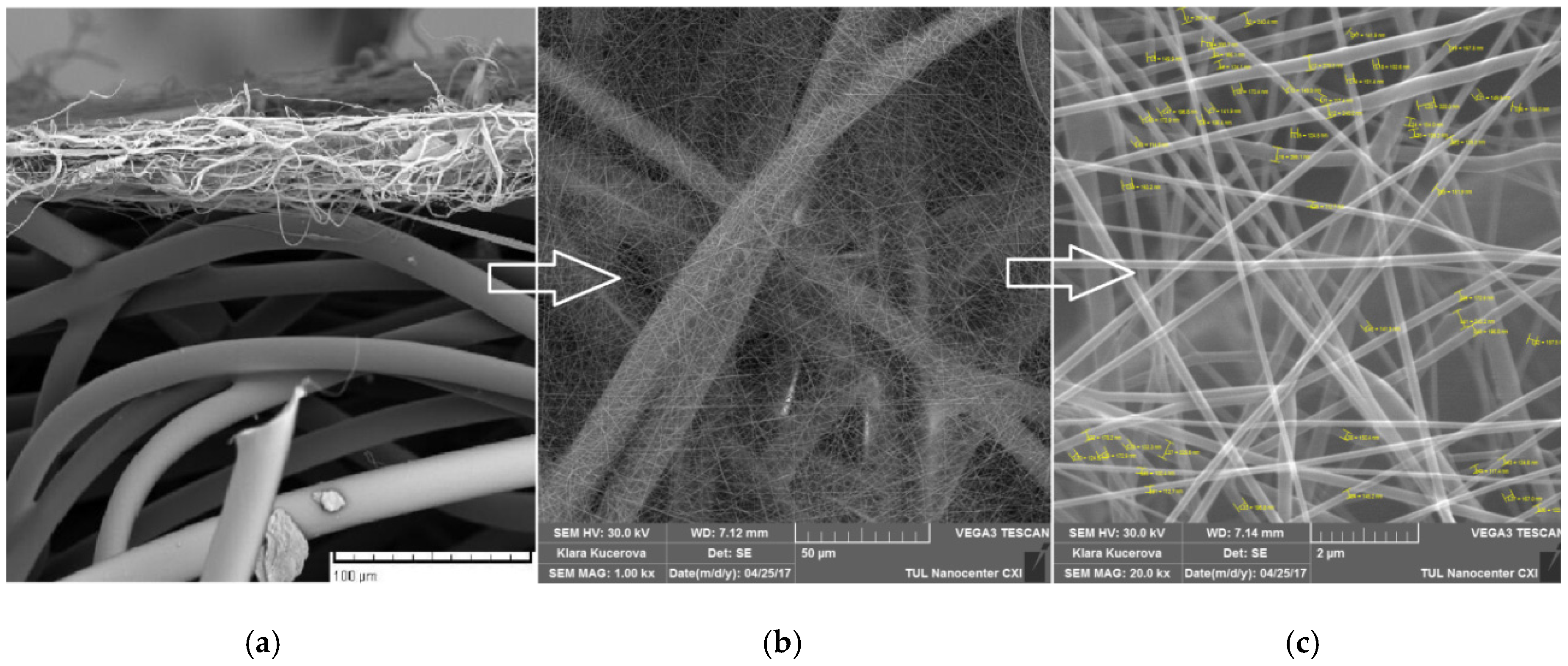 Sustainability 12 02361 g002