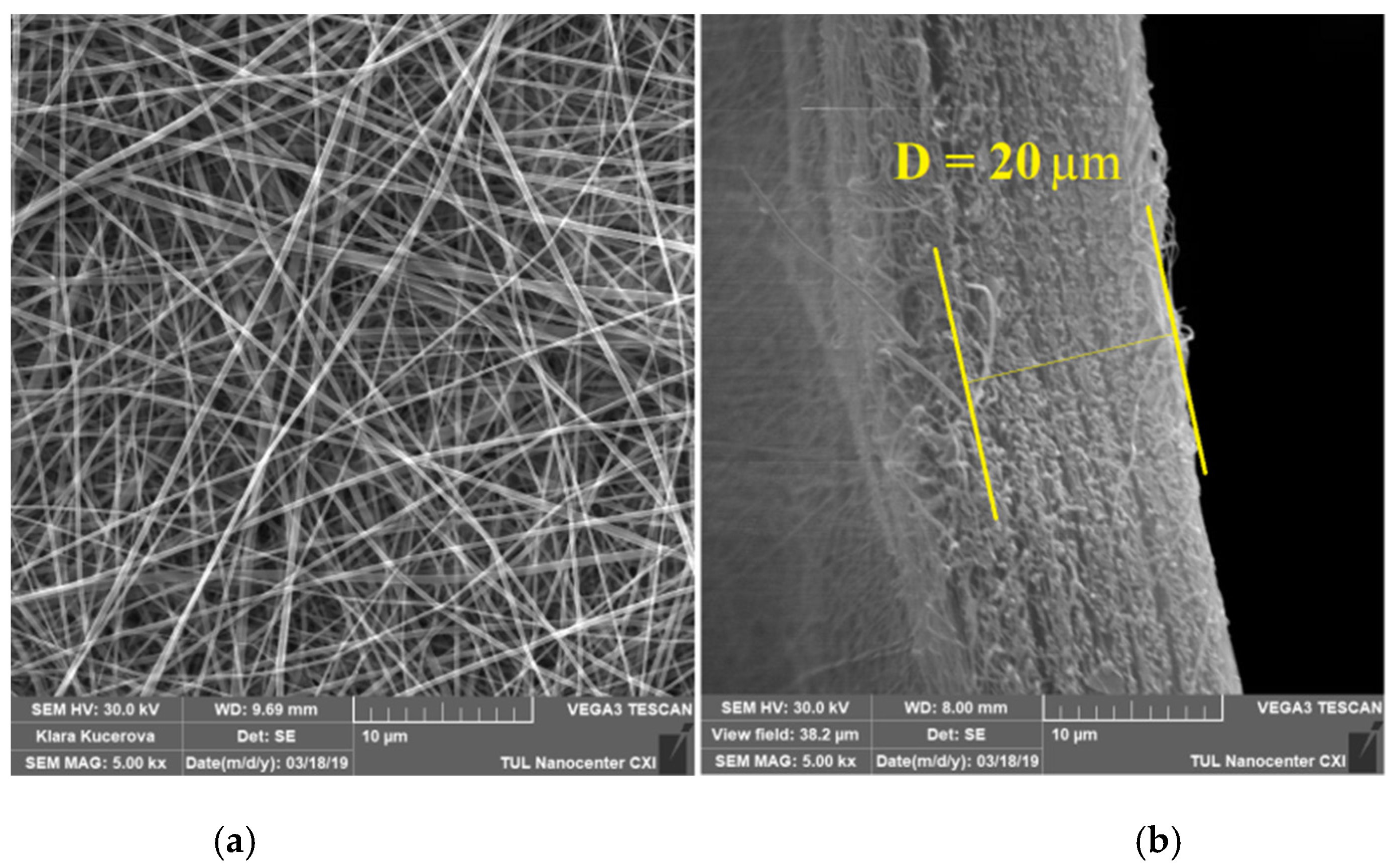 Sustainability 12 02361 g003