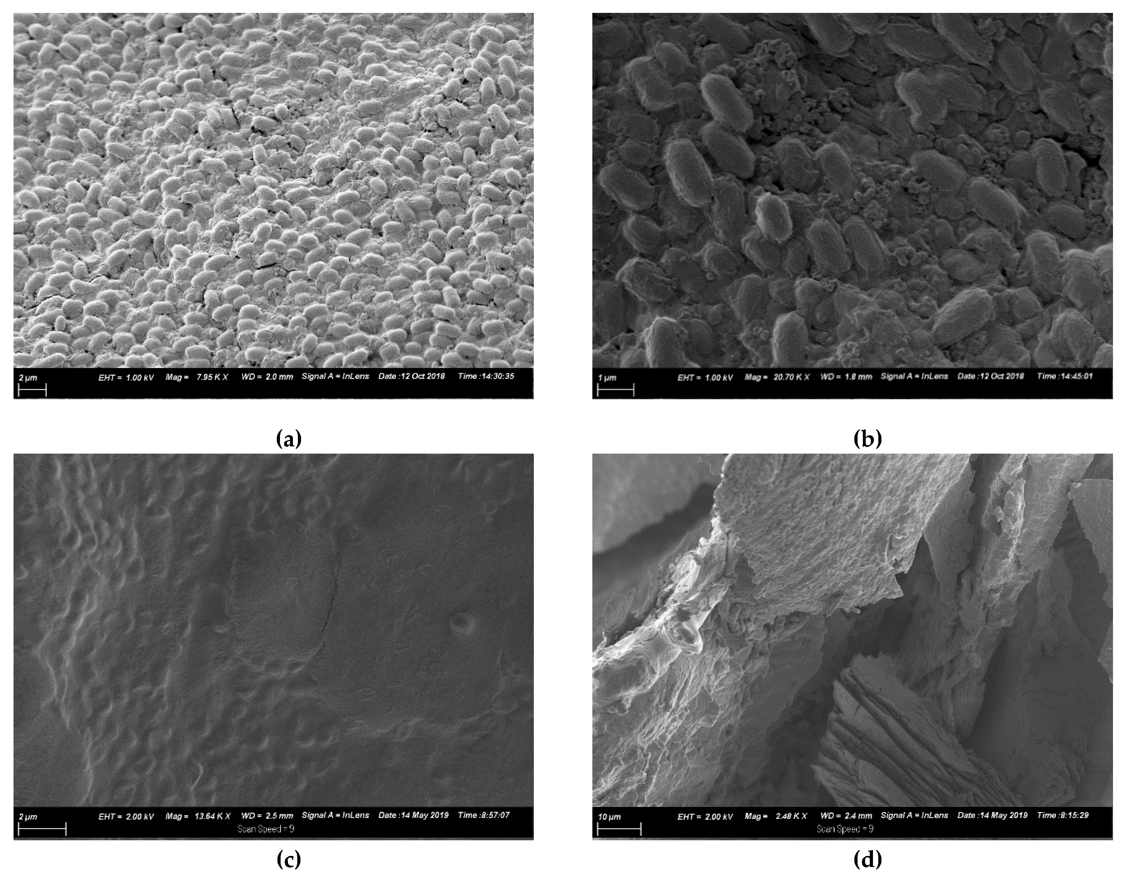 Sustainability 12 02511 g015 Sustainability 12 02511 g015