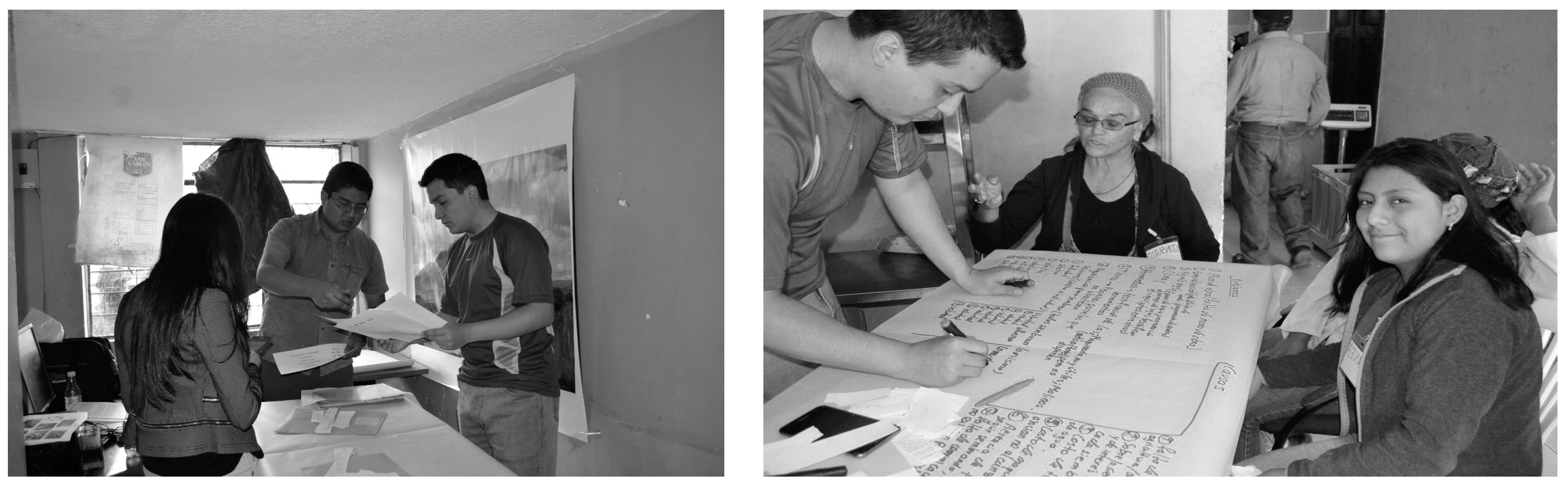 Sustainability 12 02550 g004 Sustainability 12 02550 g004