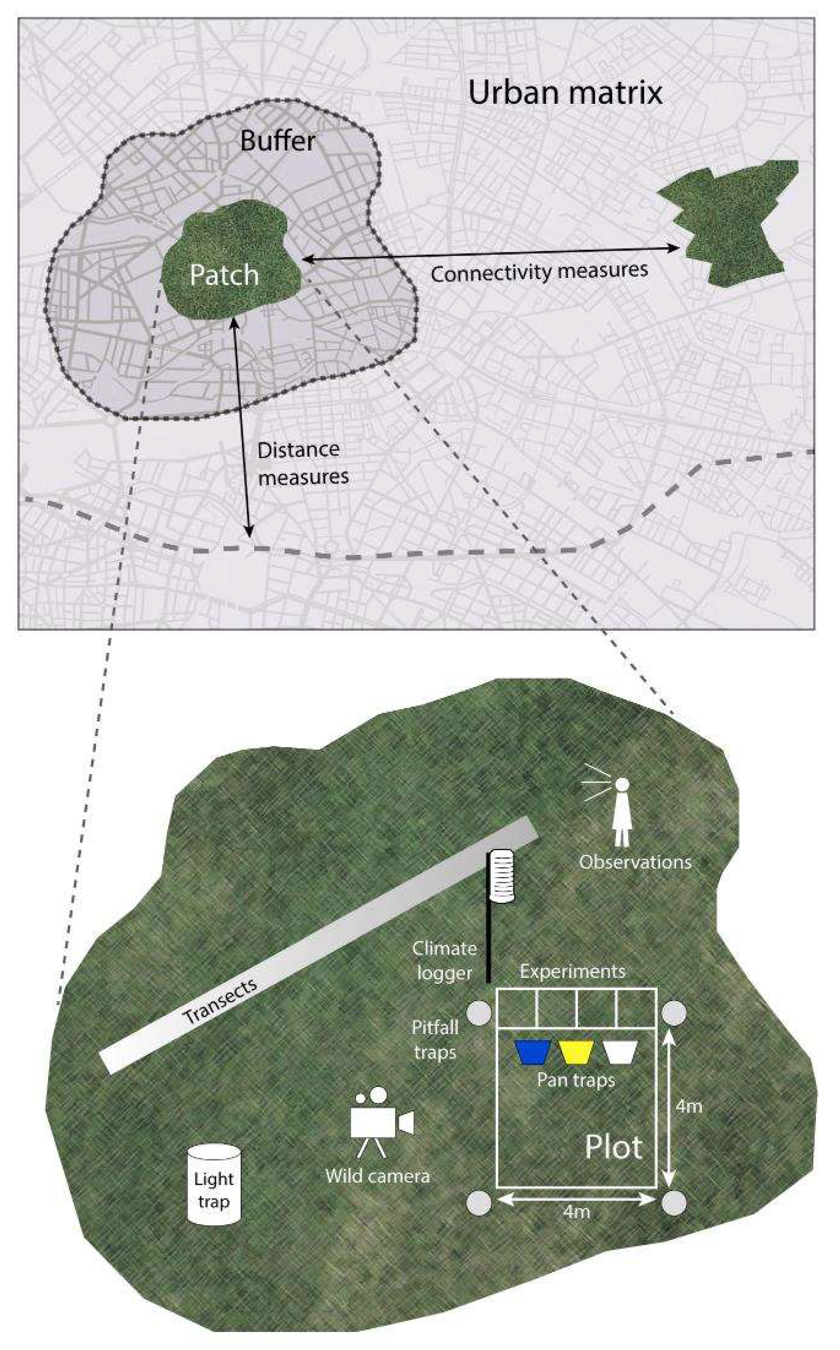 Sustainability 12 02565 g005 Sustainability 12 02565 g005