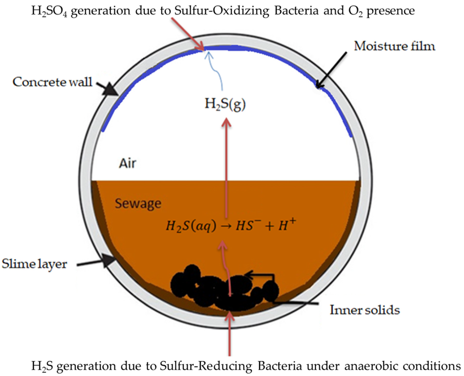 Sustainability 12 02638 g001 Sustainability 12 02638 g001