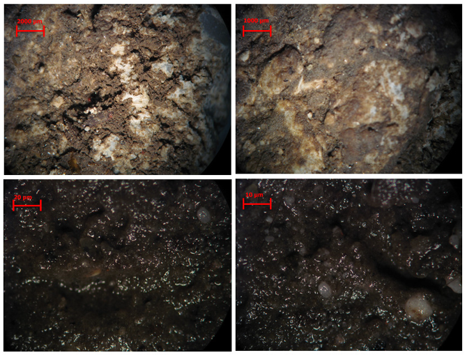 Sustainability 12 02638 g010 Sustainability 12 02638 g010