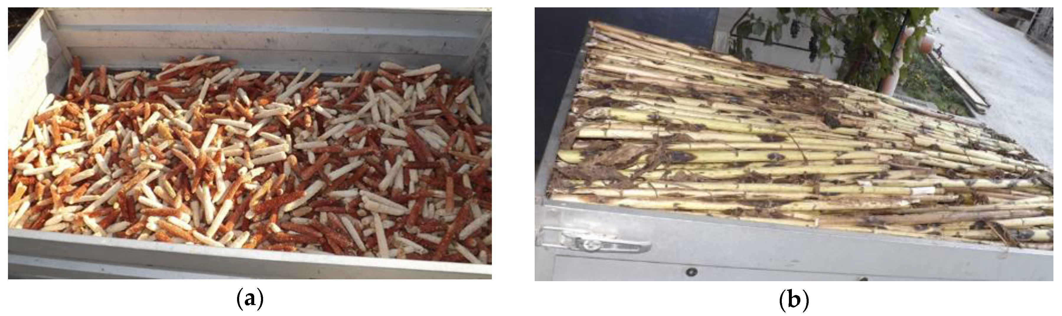 Sustainability 12 02651 g001