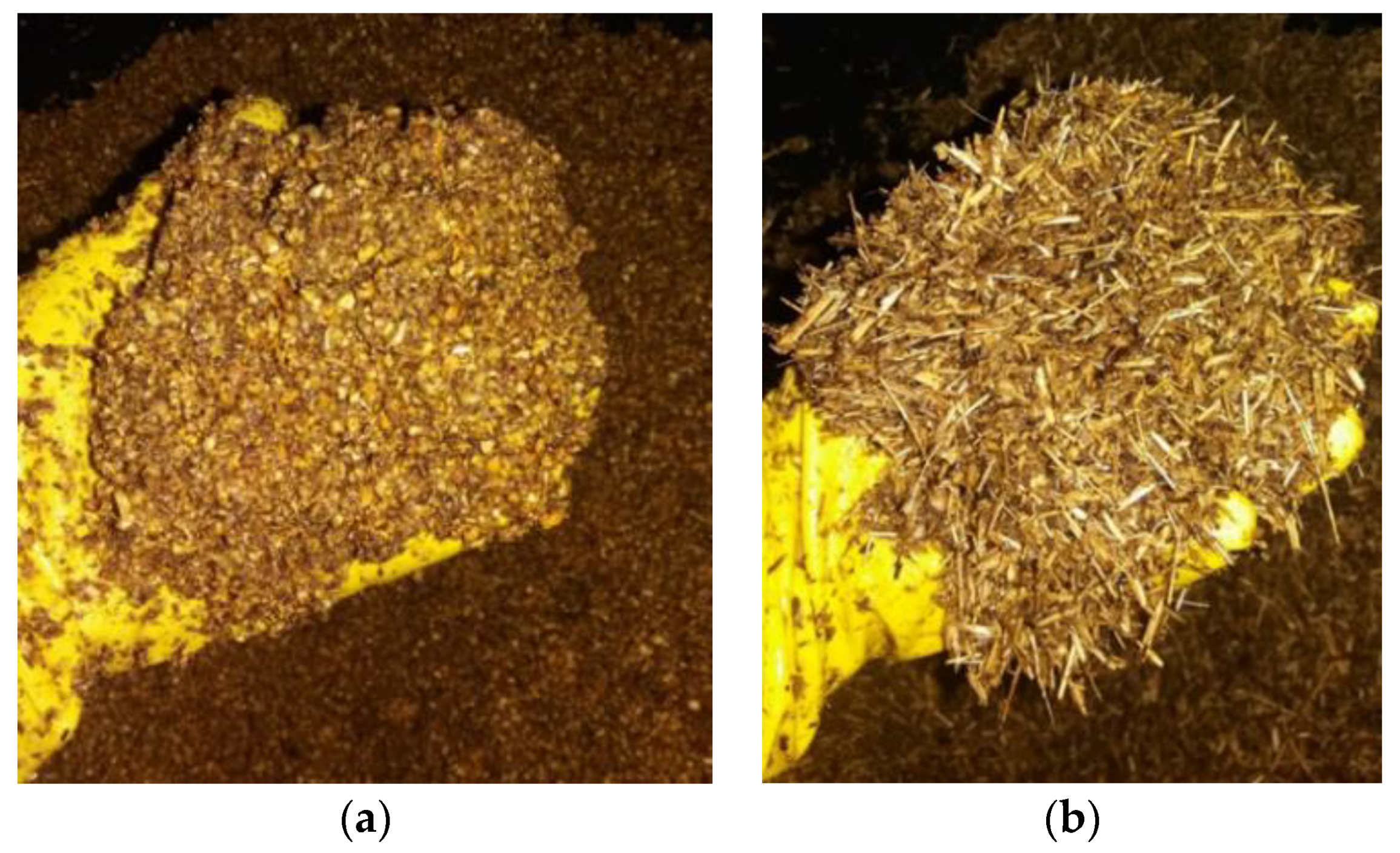 Sustainability 12 02651 g004