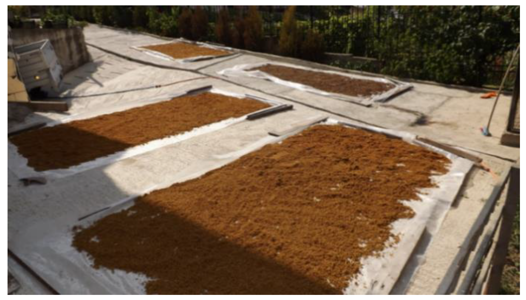 Sustainability 12 02651 g005