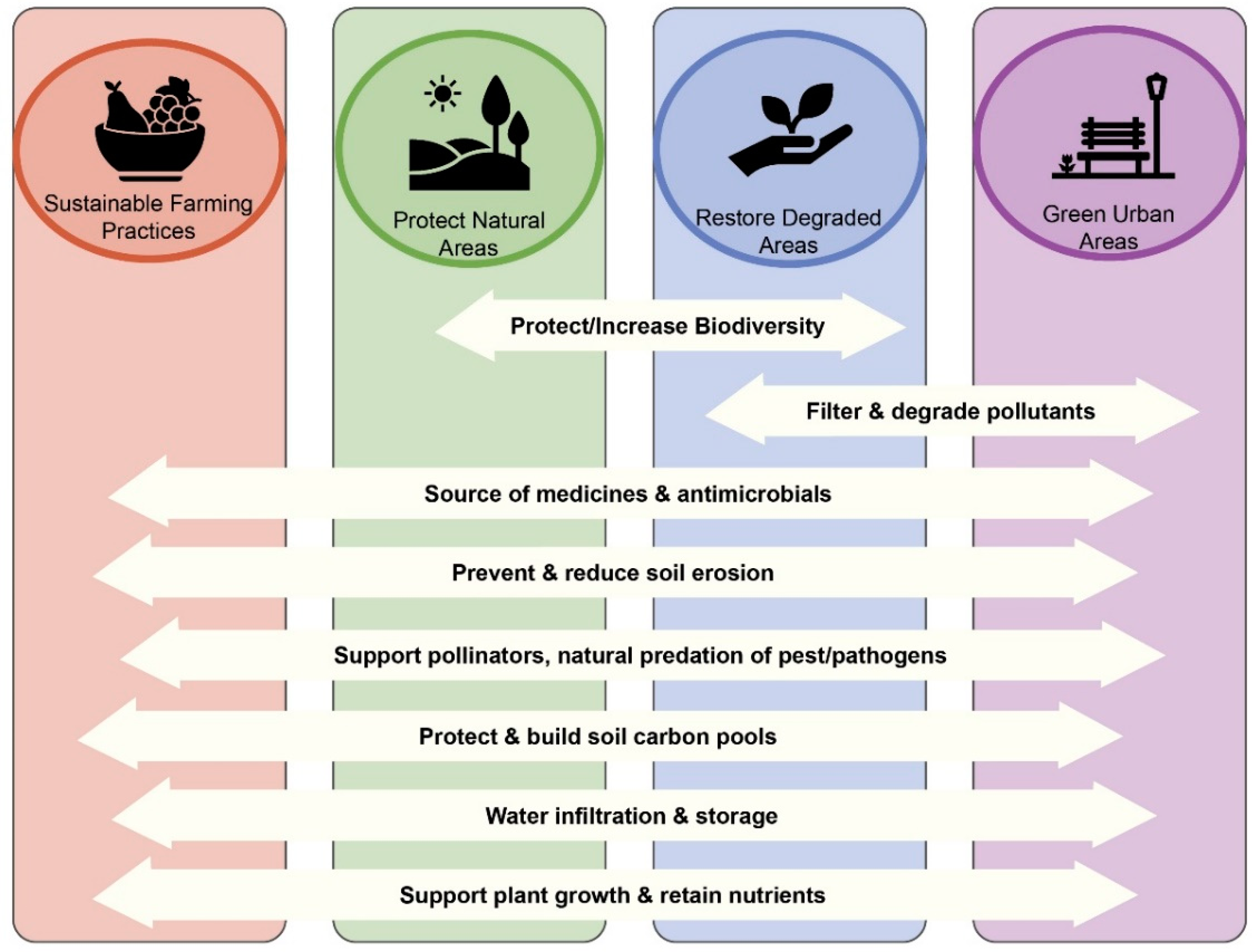 2 to does biodiversity form how contribute the economy Biodiversity’s contributions