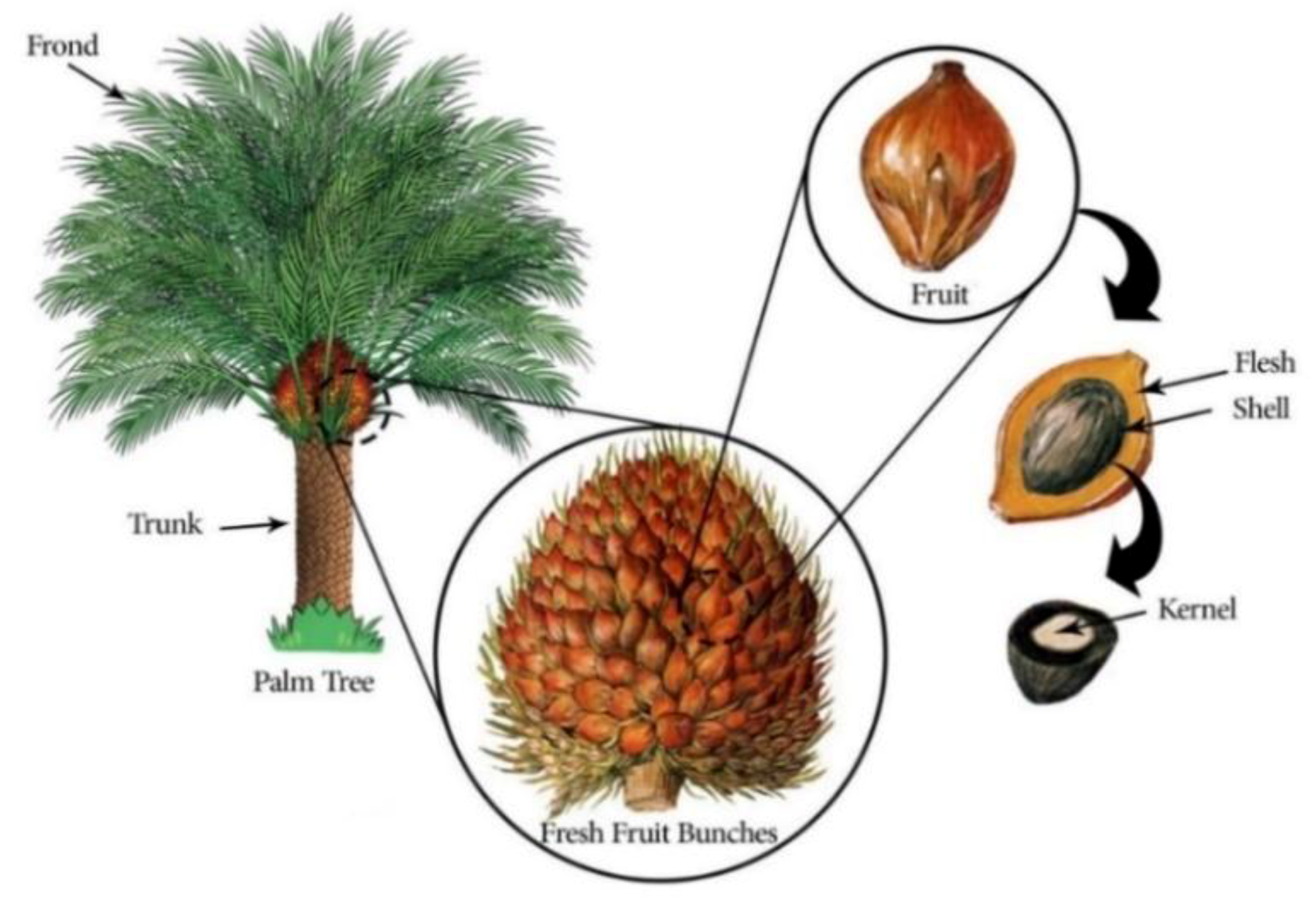 Sustainability 12 02716 g001