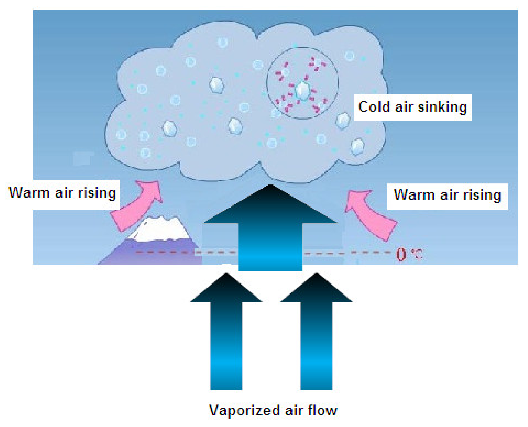 Sustainability 12 02733 g008 550