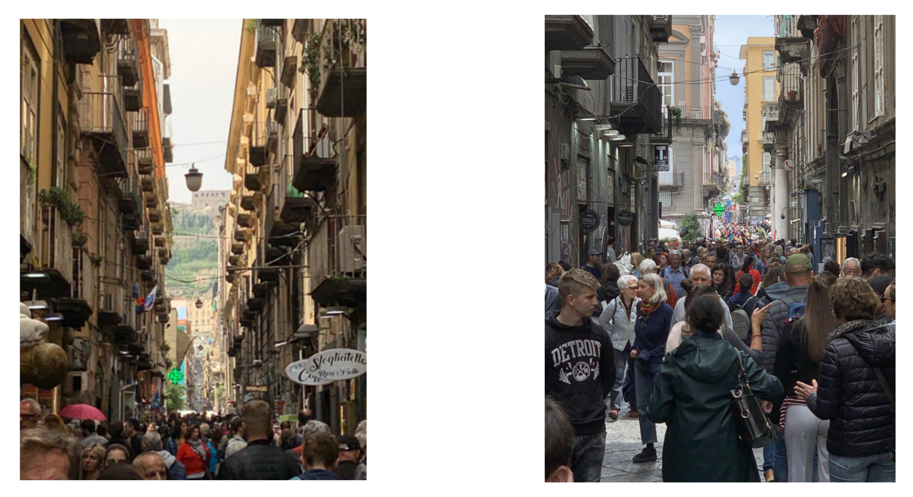 Sustainability 12 02887 g002