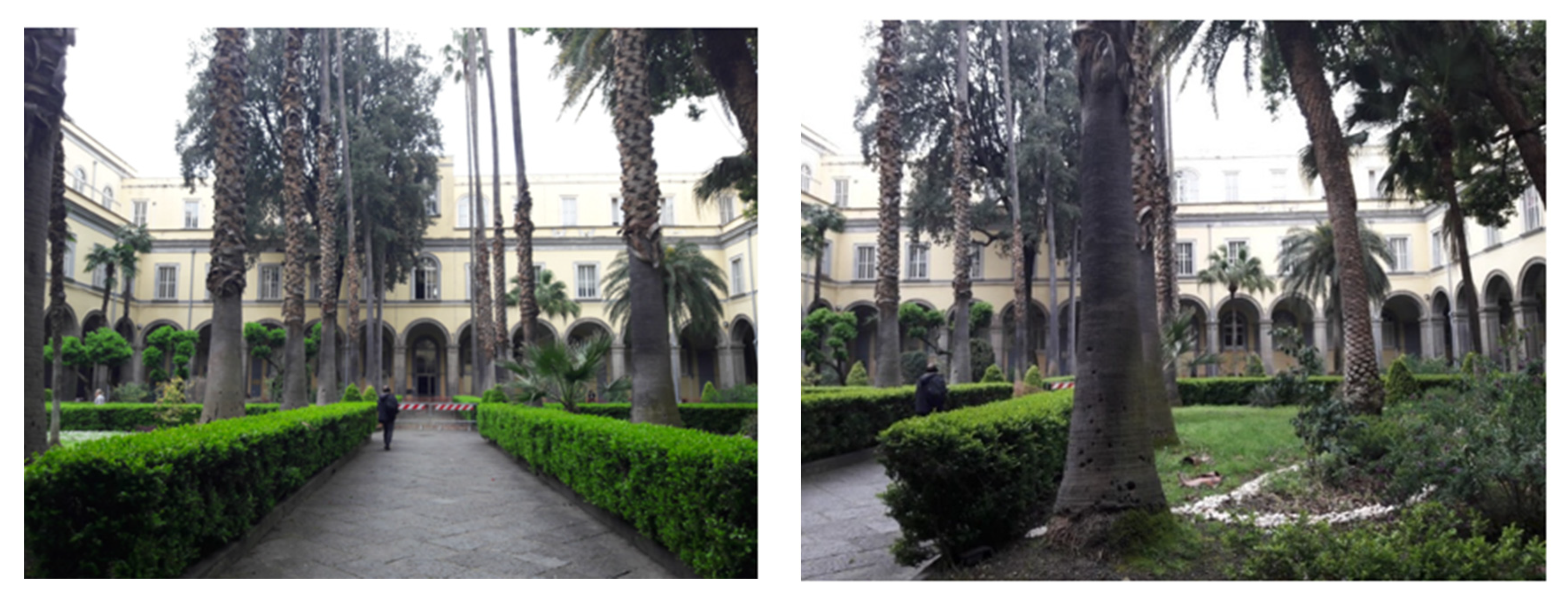 Sustainability 12 02887 g009