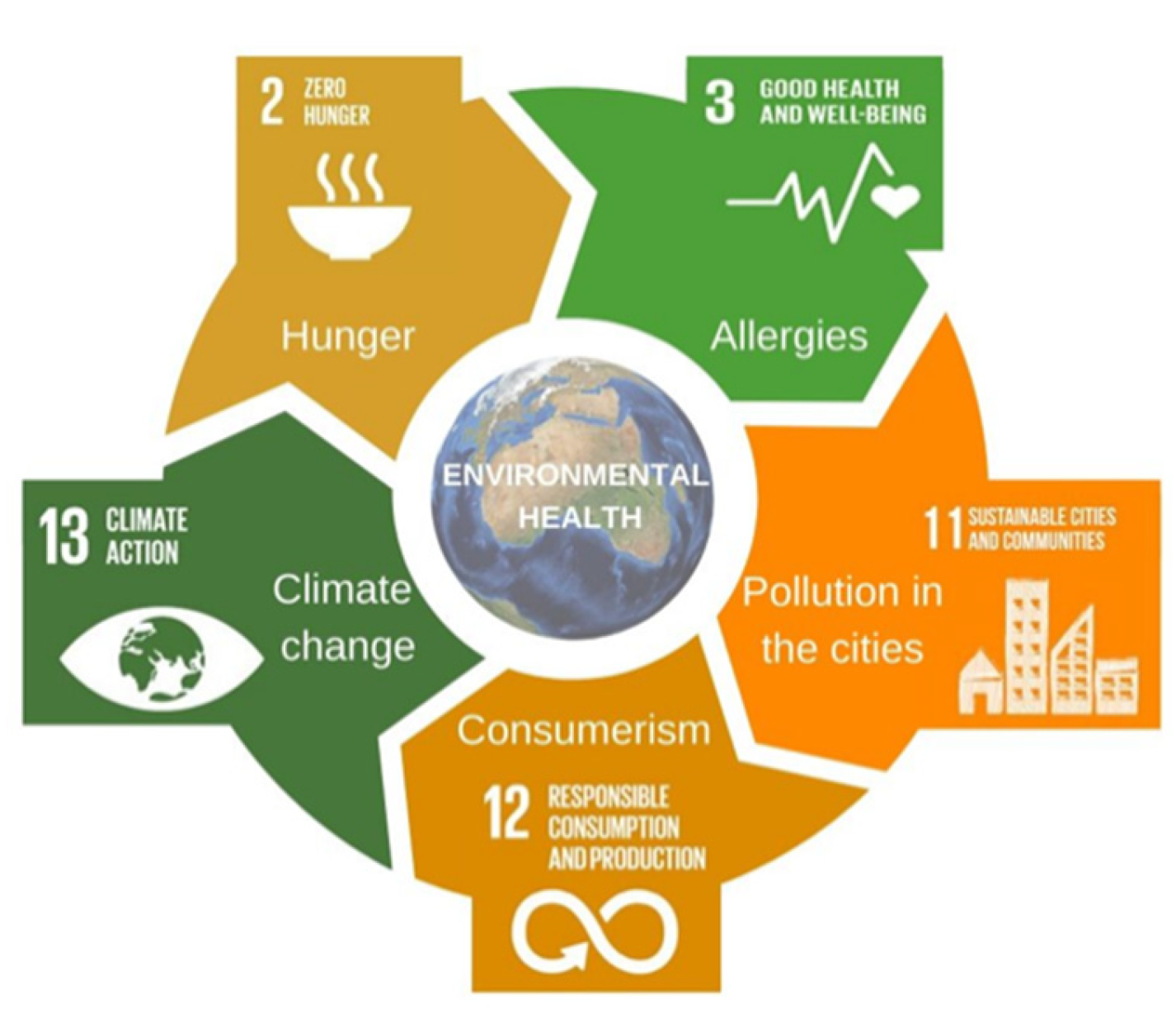 Sustainability Free FullText Development of Environmental Health