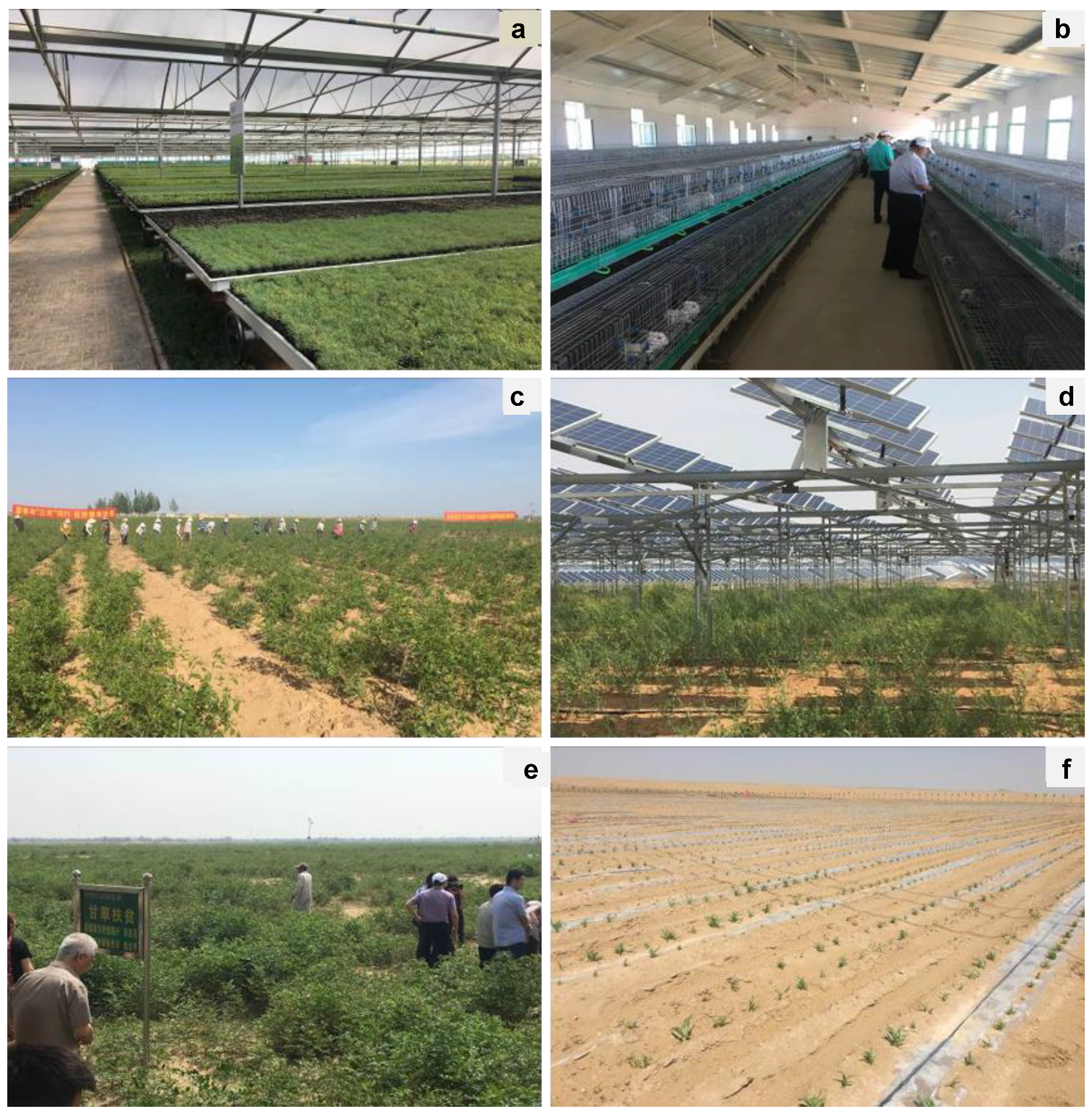 Sustainability 12 03258 g008