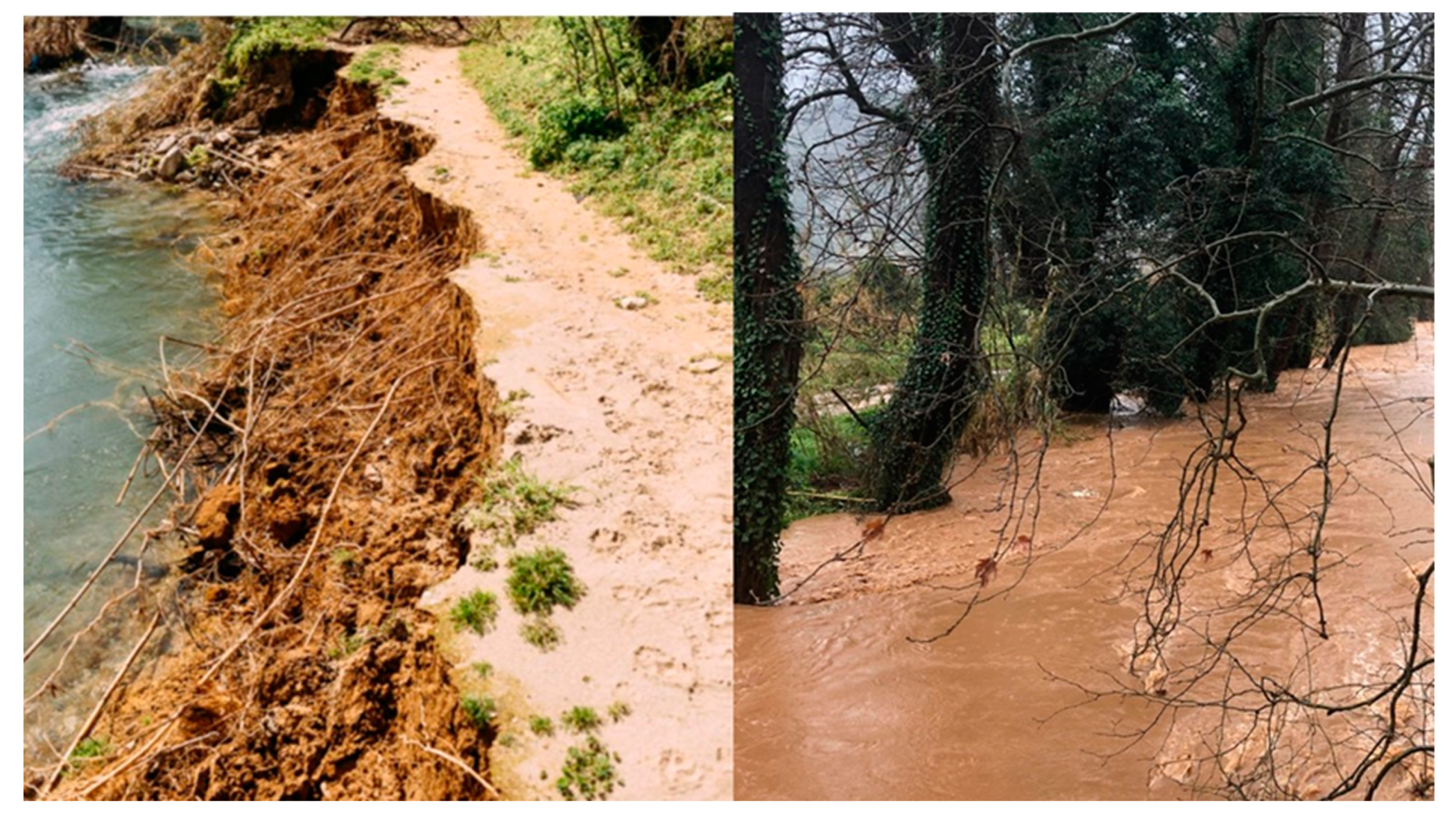 Sustainability 12 03305 g004