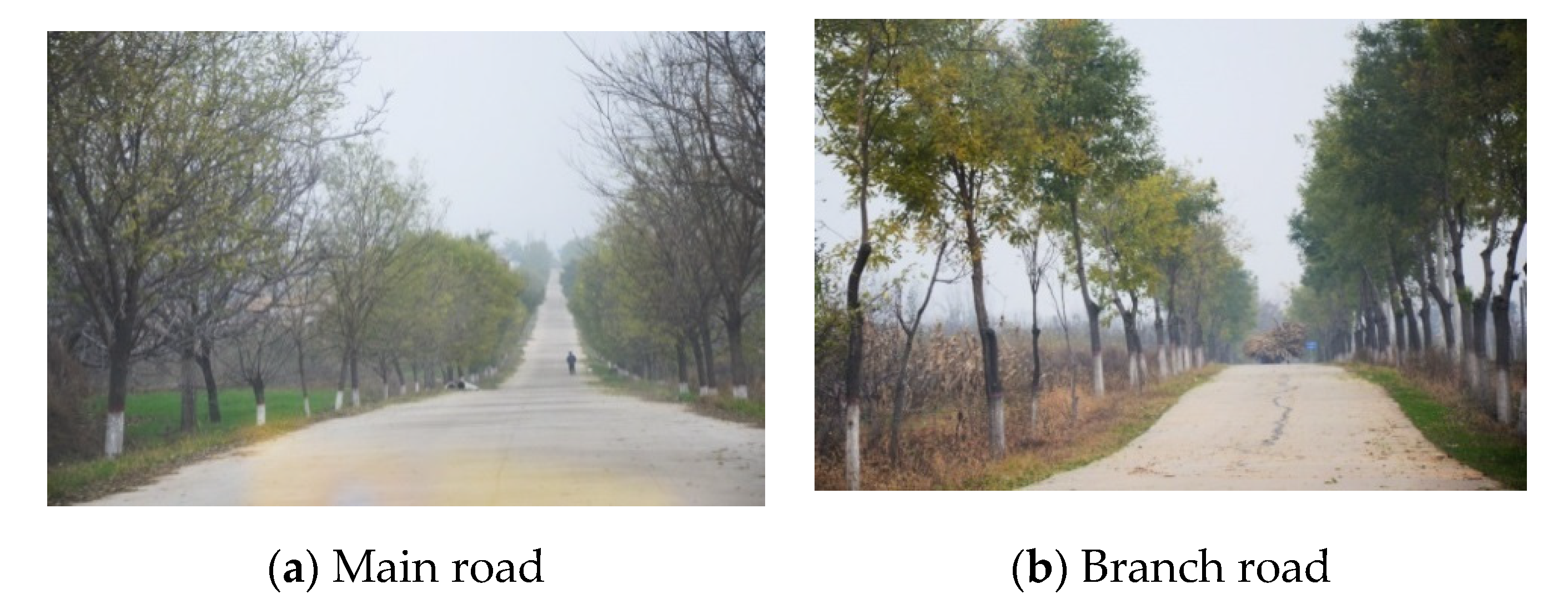 Sustainability 12 03317 g008